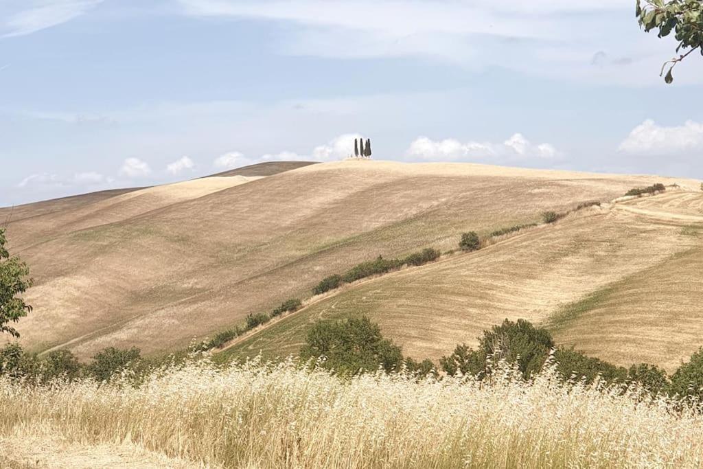 La casa dei nonni tra Crete Senesi e Val D'Orcia view 4