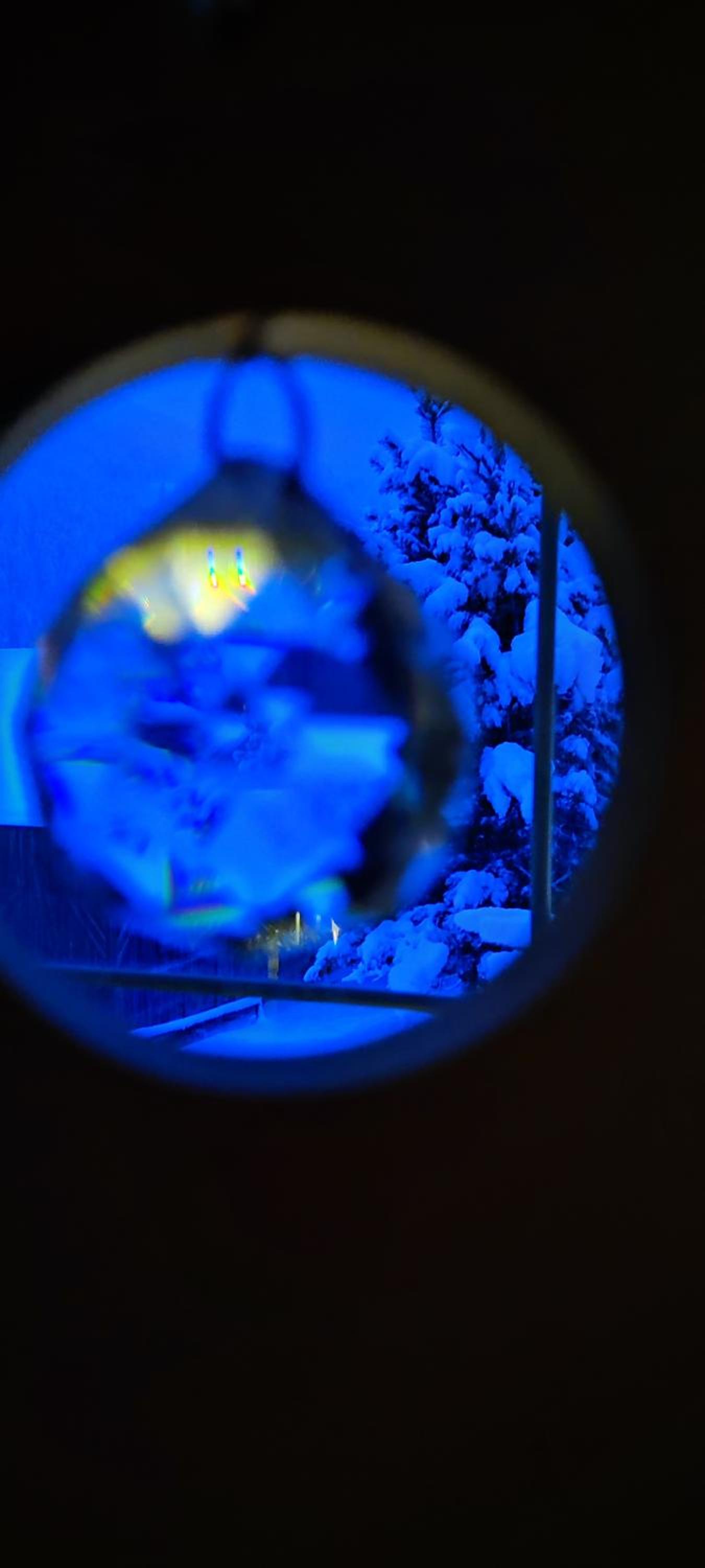 Pension Fürhapter mit Bio- Bauernhof