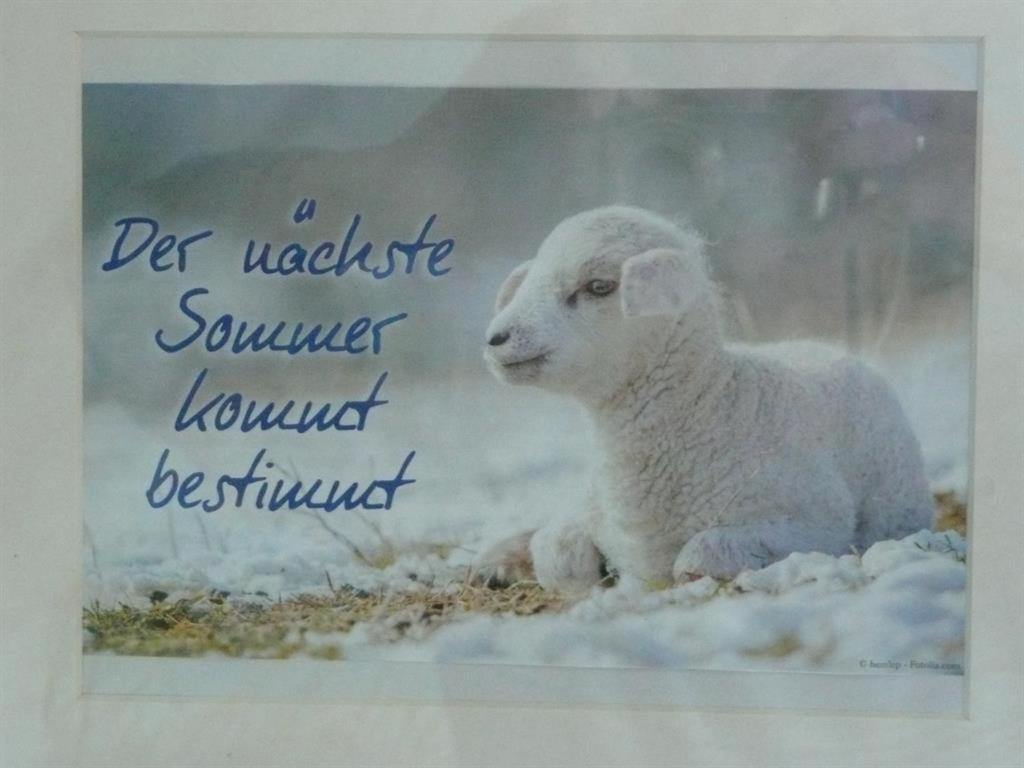Das Schwalbennest
