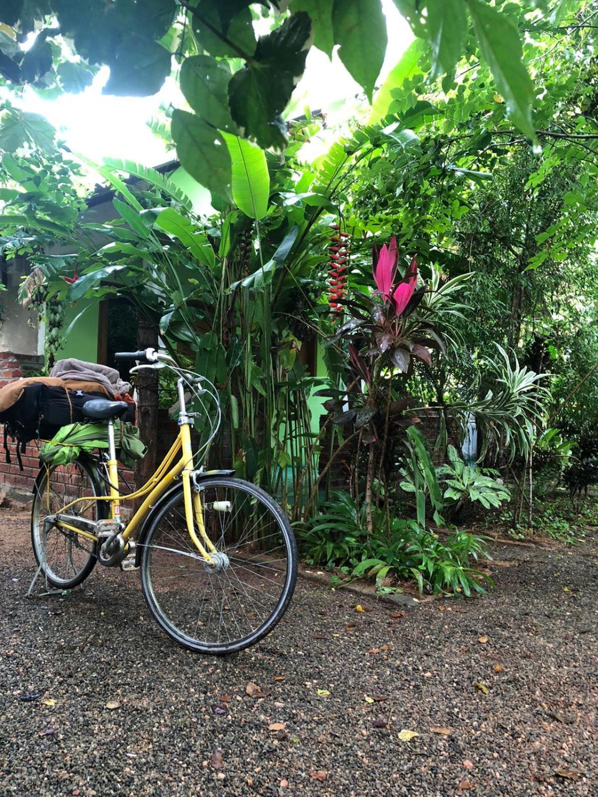 Forest Villa Nature Resort view 3