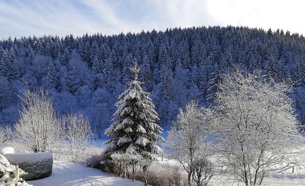Ferienwohnung Büre Blick mit Pool & Sauna direkt im Skigebiet Winterberg, Ski, Bike, Golf
