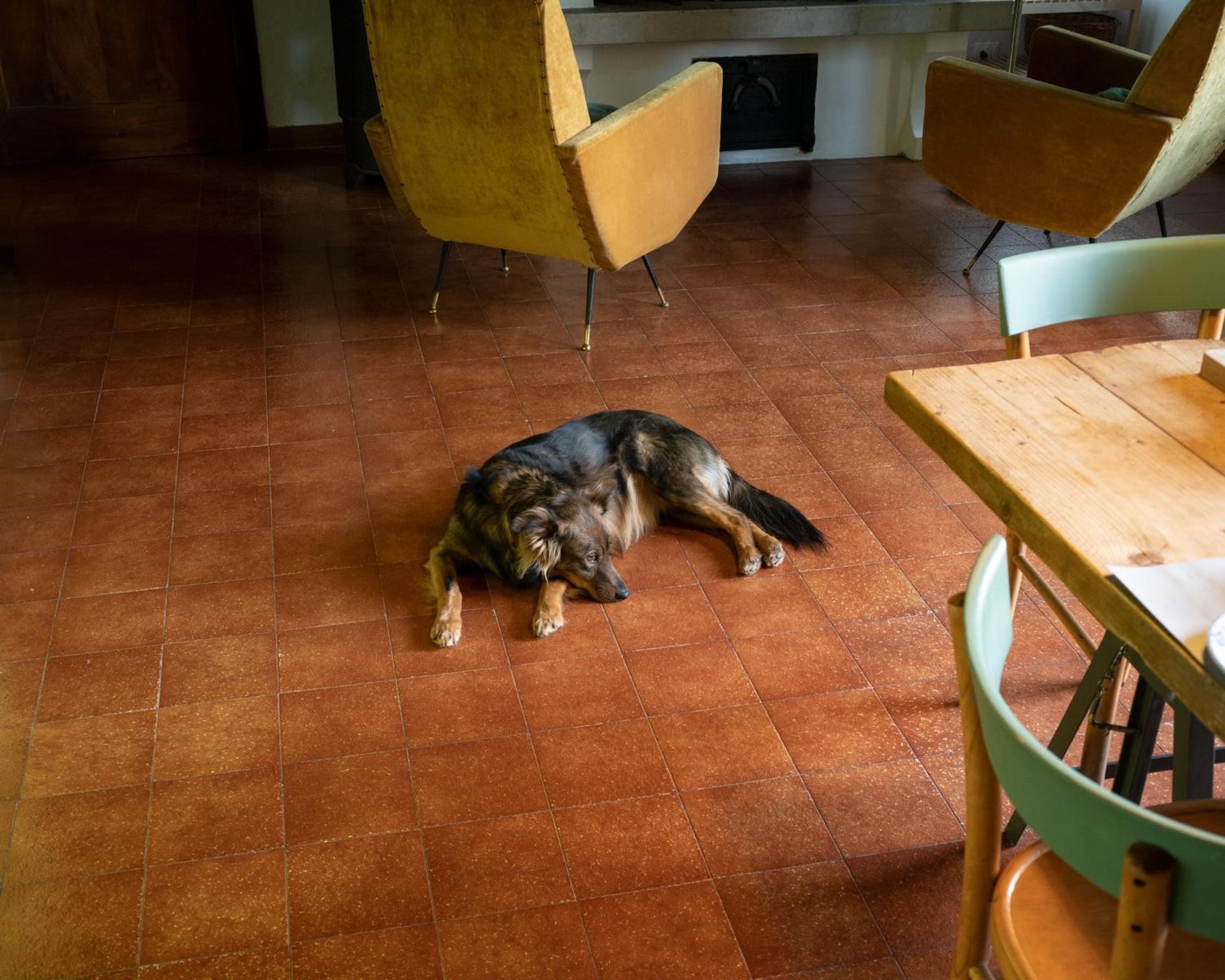 Le 33, photo 22
