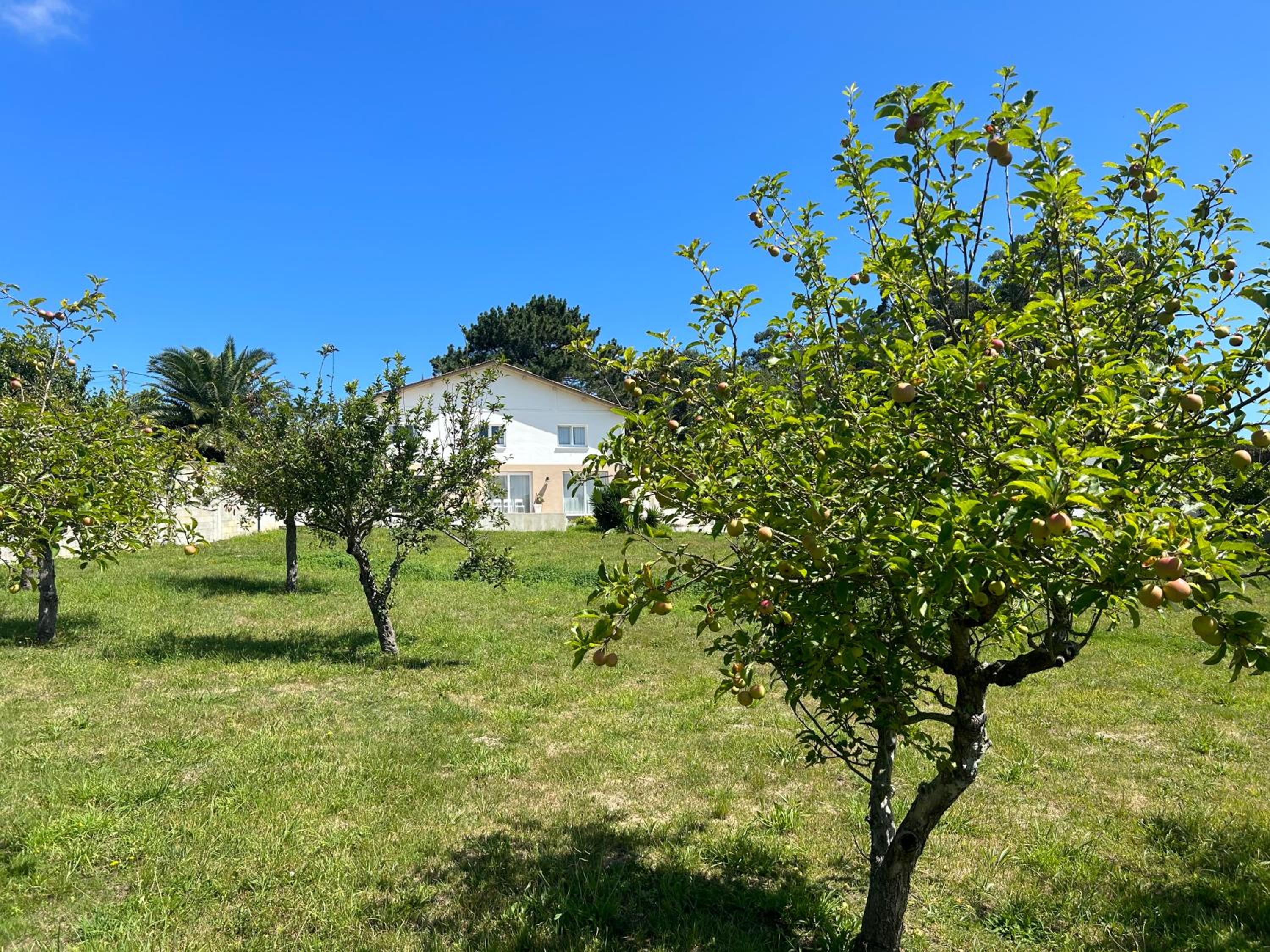 Apartagal-A Corredoira