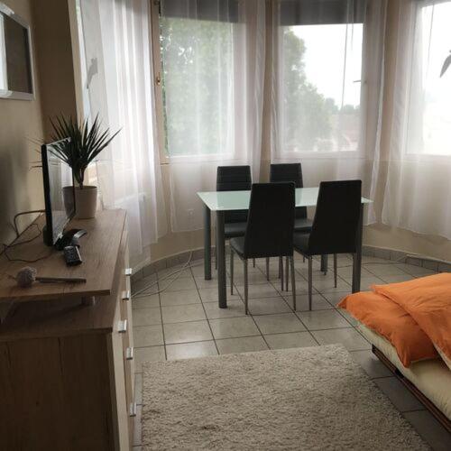 Visit apartman Tiszafüred view 2