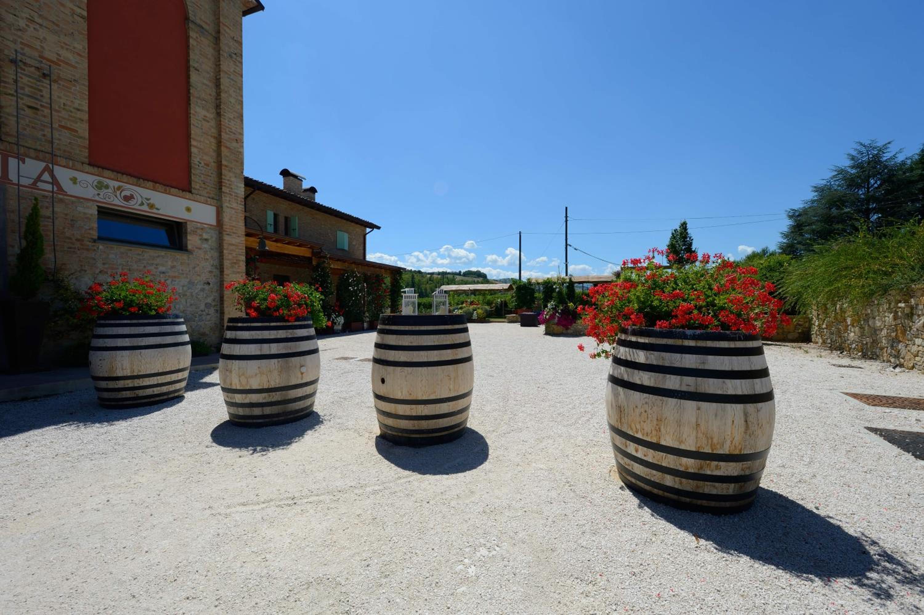 Photo 53
