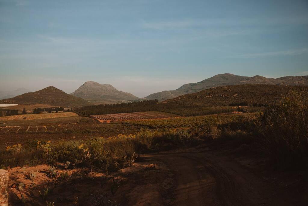 Solace Eco Cabins - Citrus Cabin view 4