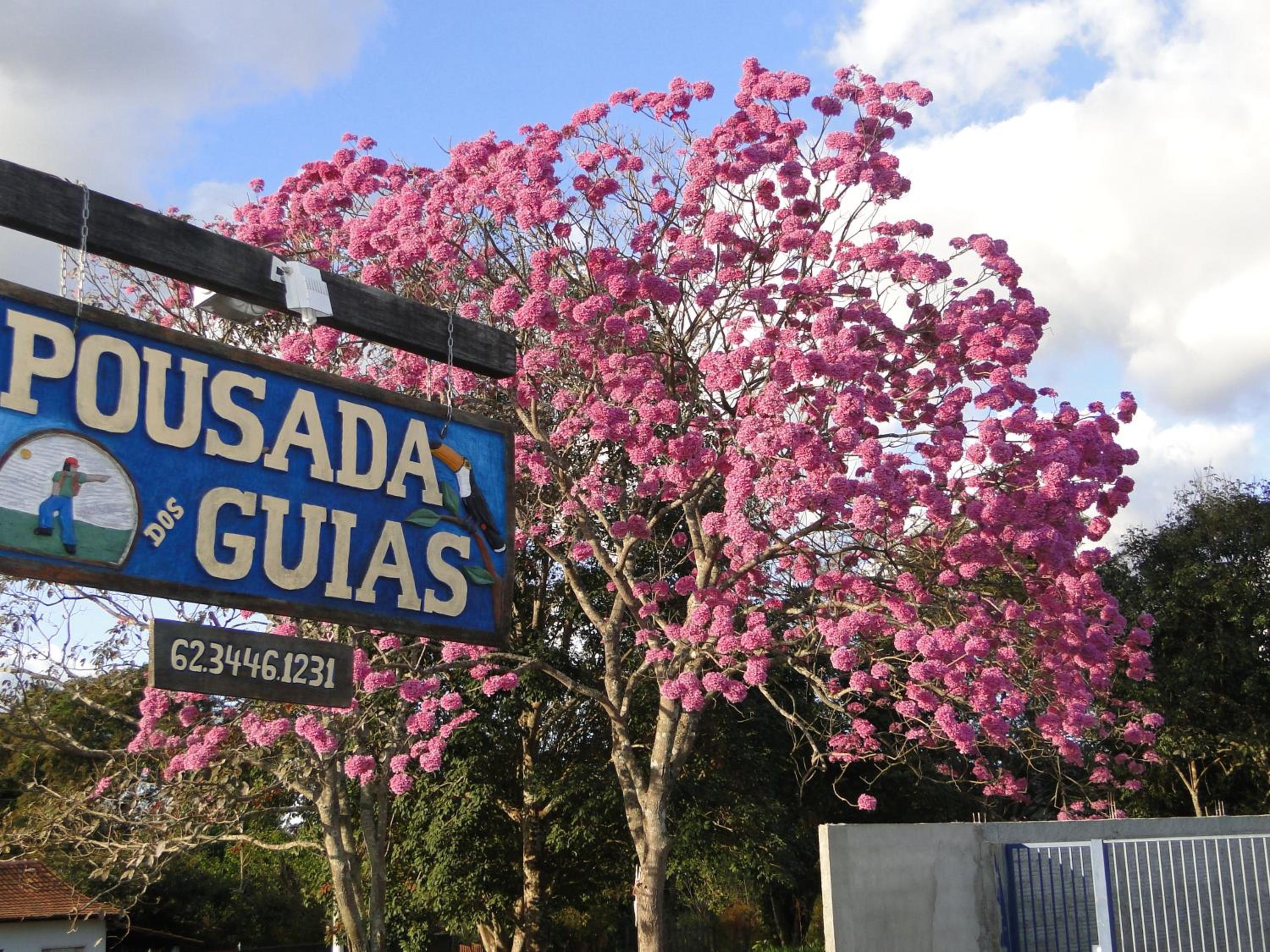Pousada dos Guias, photo 59