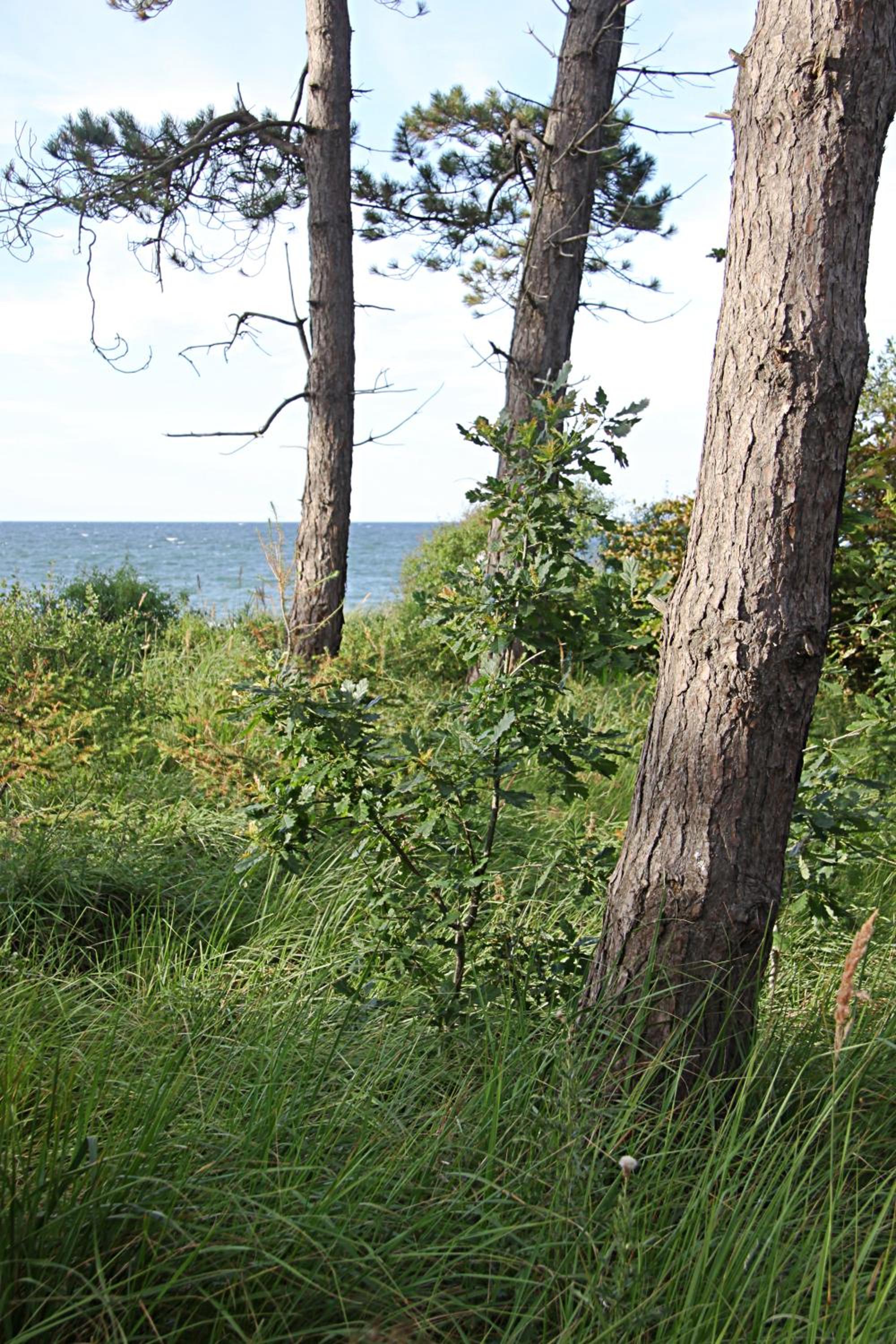 LET'S SEA - 2 Bedroom - Premium Baltic Apartment with Front Sea View Garden and SPA access