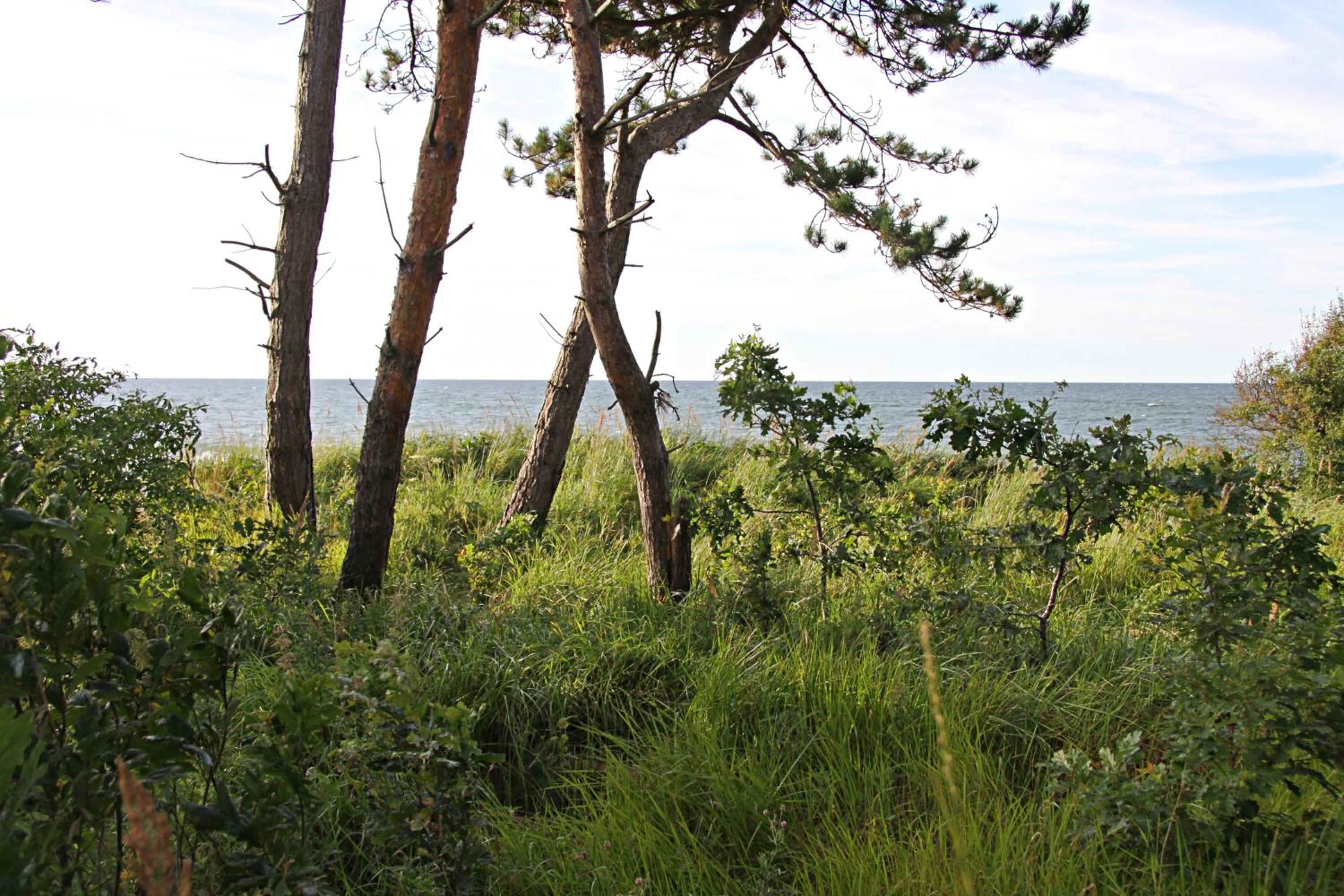 LET'S SEA - 2 Bedroom - Premium Baltic Apartment with Front Sea View Garden and SPA access
