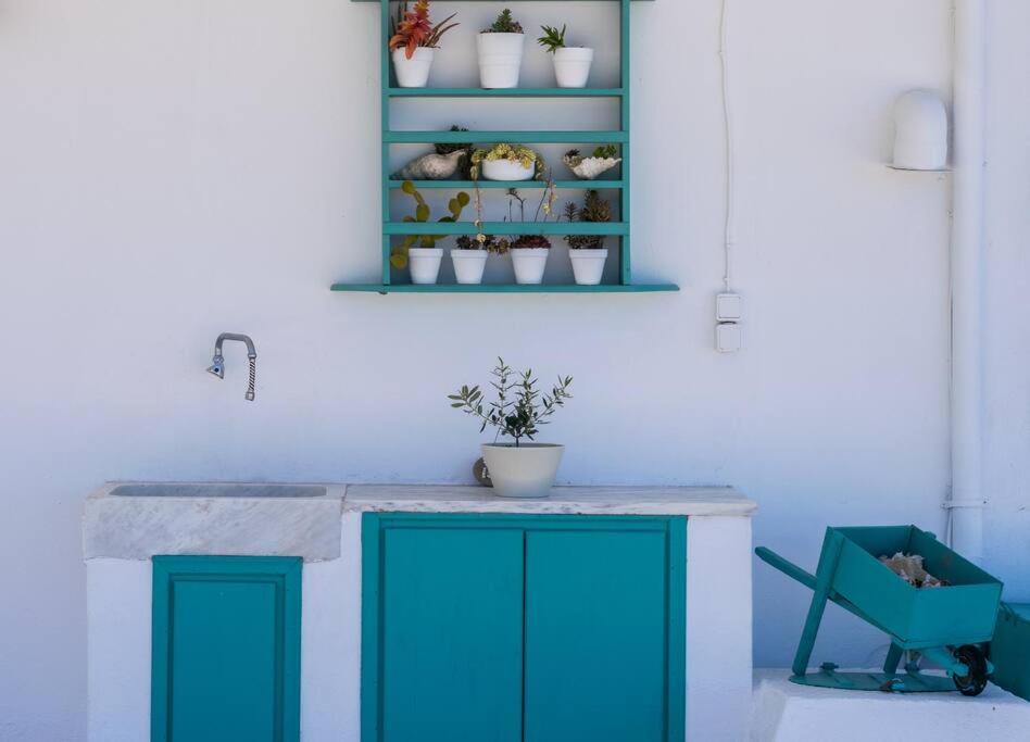 Gemilos Nest