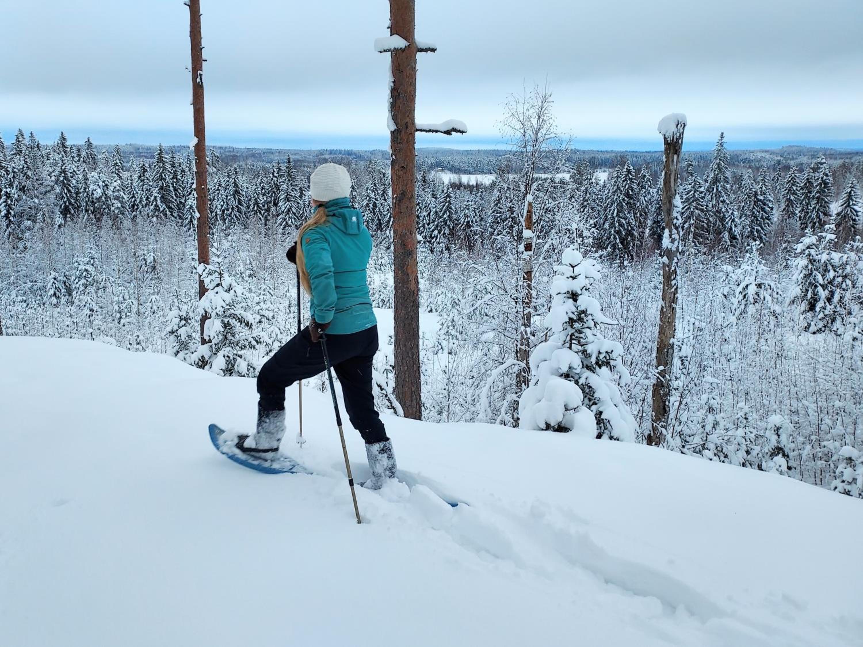 Lehmonkärki Resort