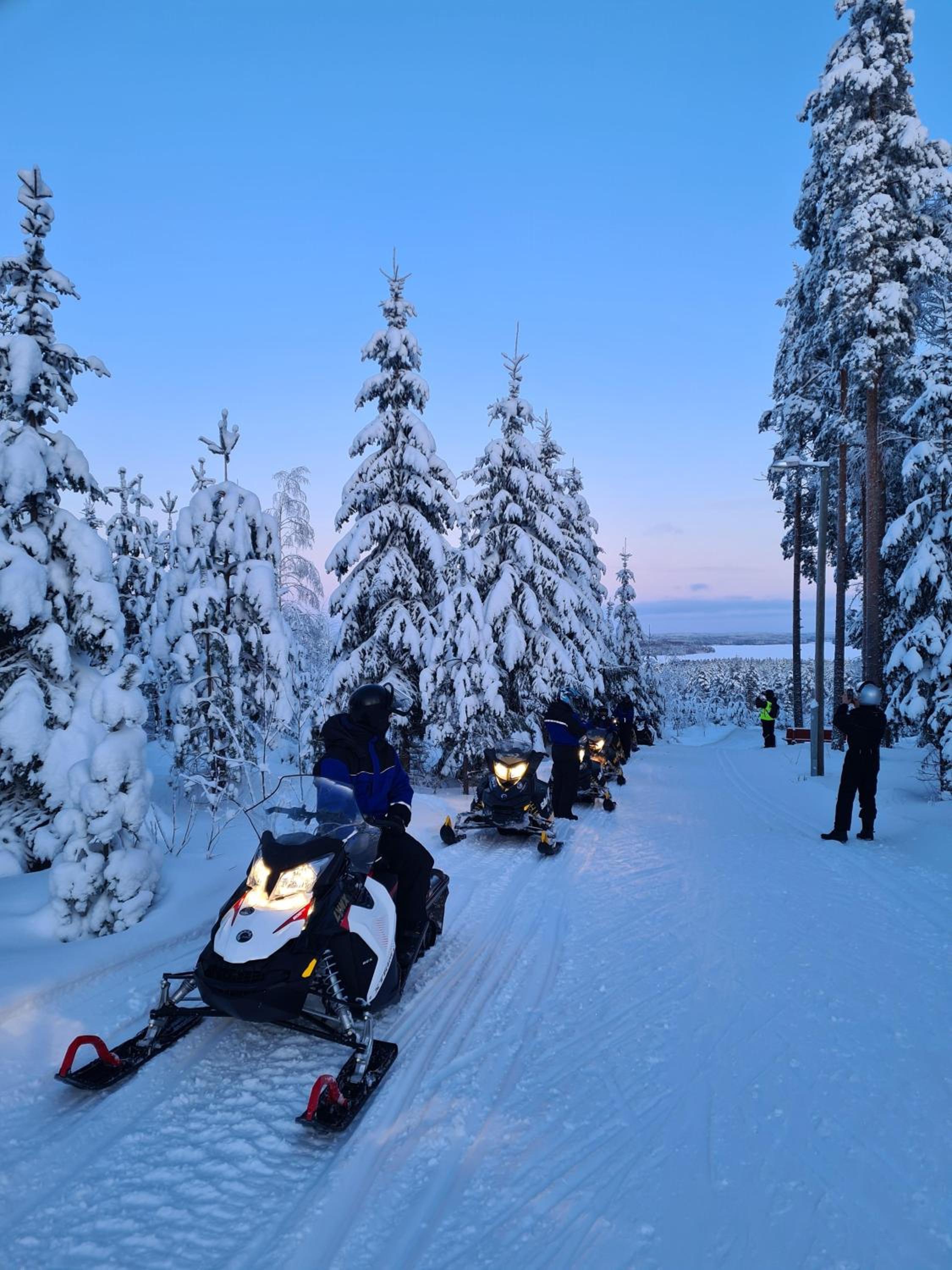 Lehmonkärki Resort