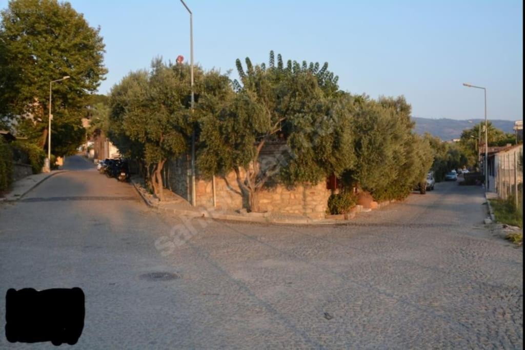 Photo 28