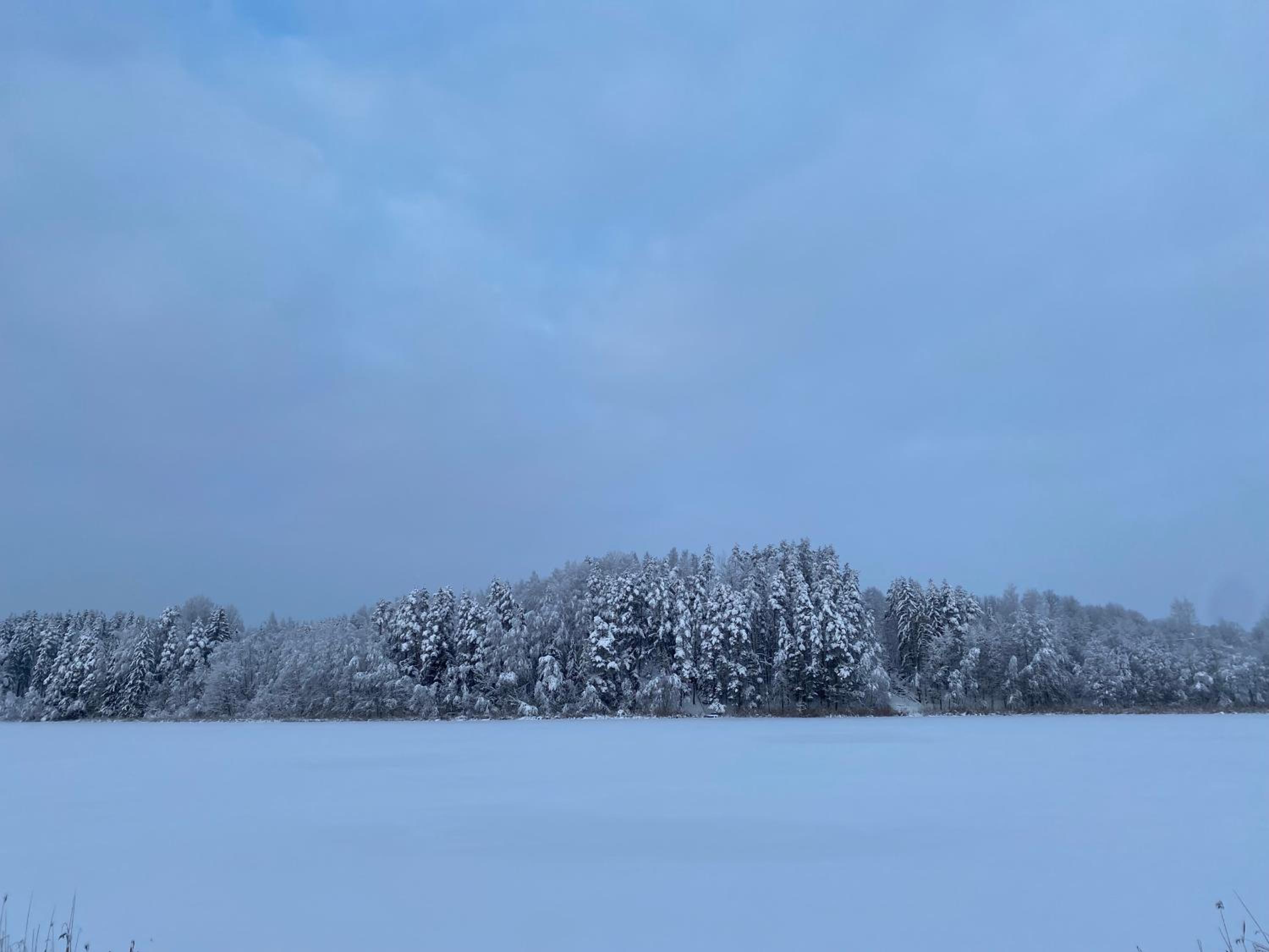 Järveoru