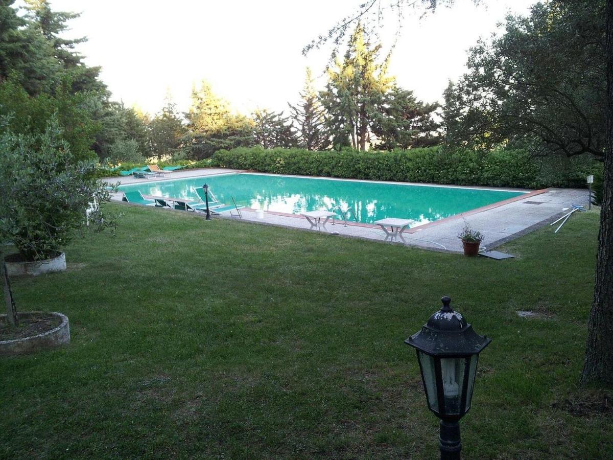 Photo 39