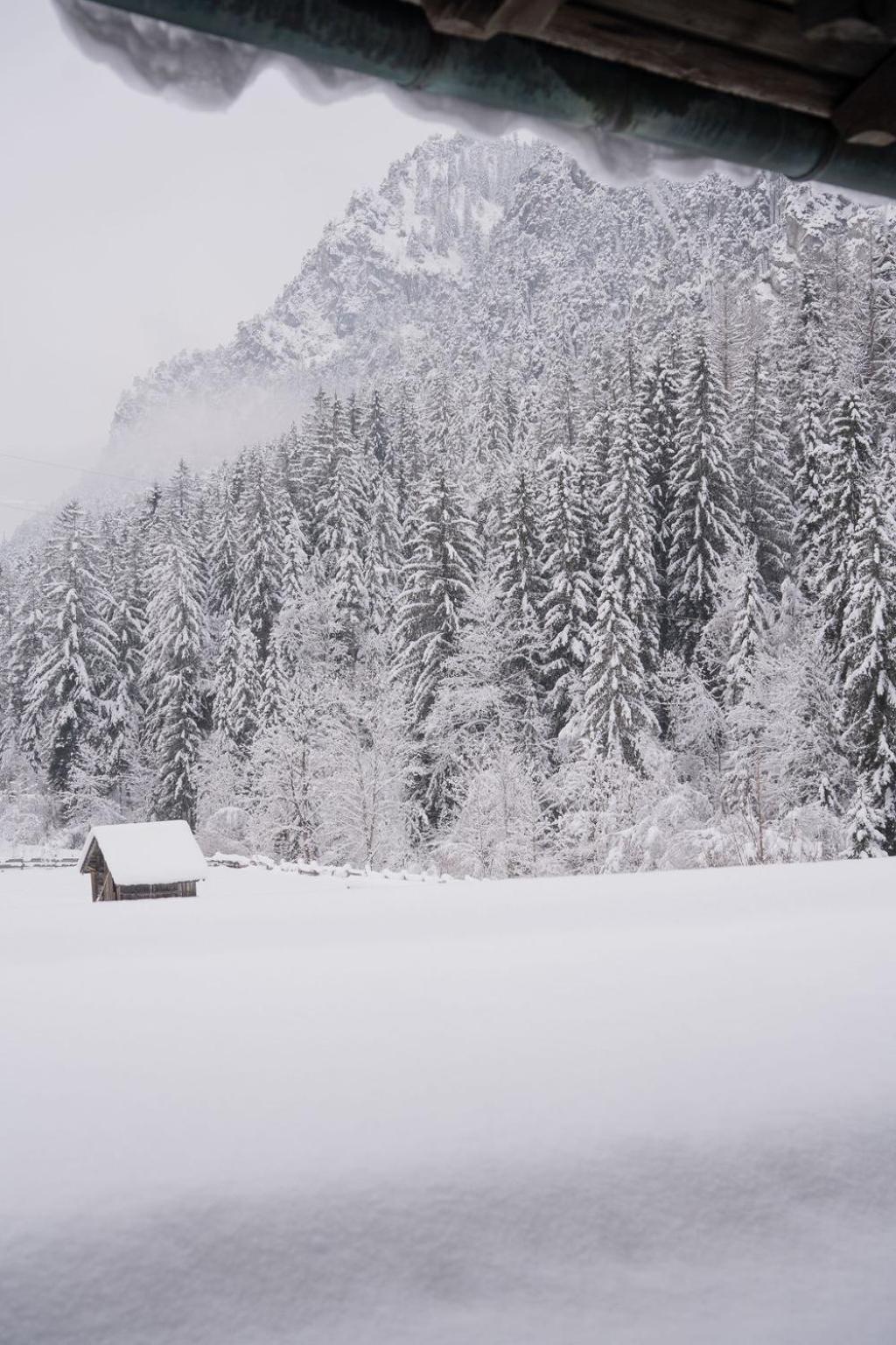 Frühstückspension Auer - Haus Kargl