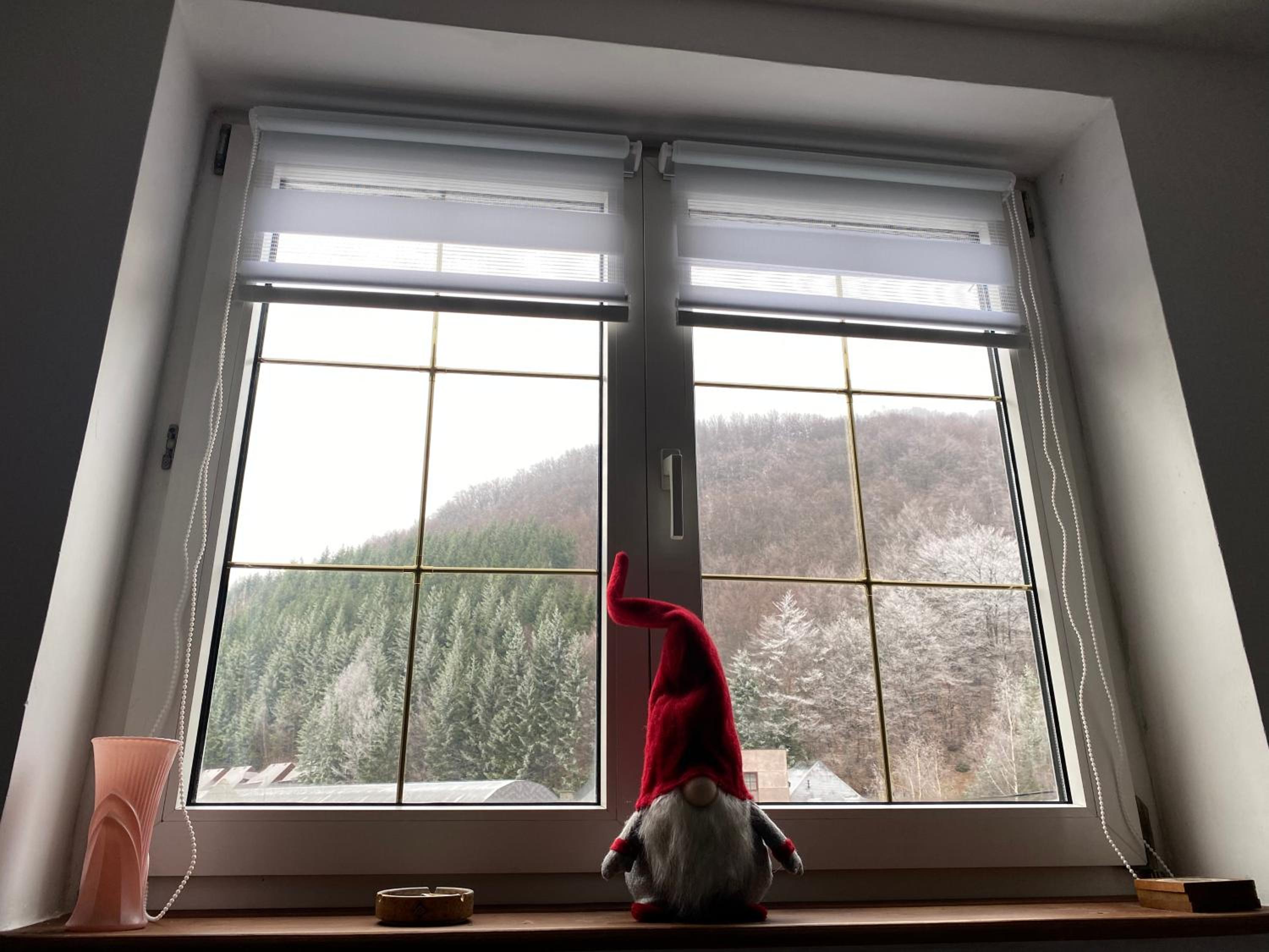 Bele Staze 3a Kopaonik, Brzece view 2