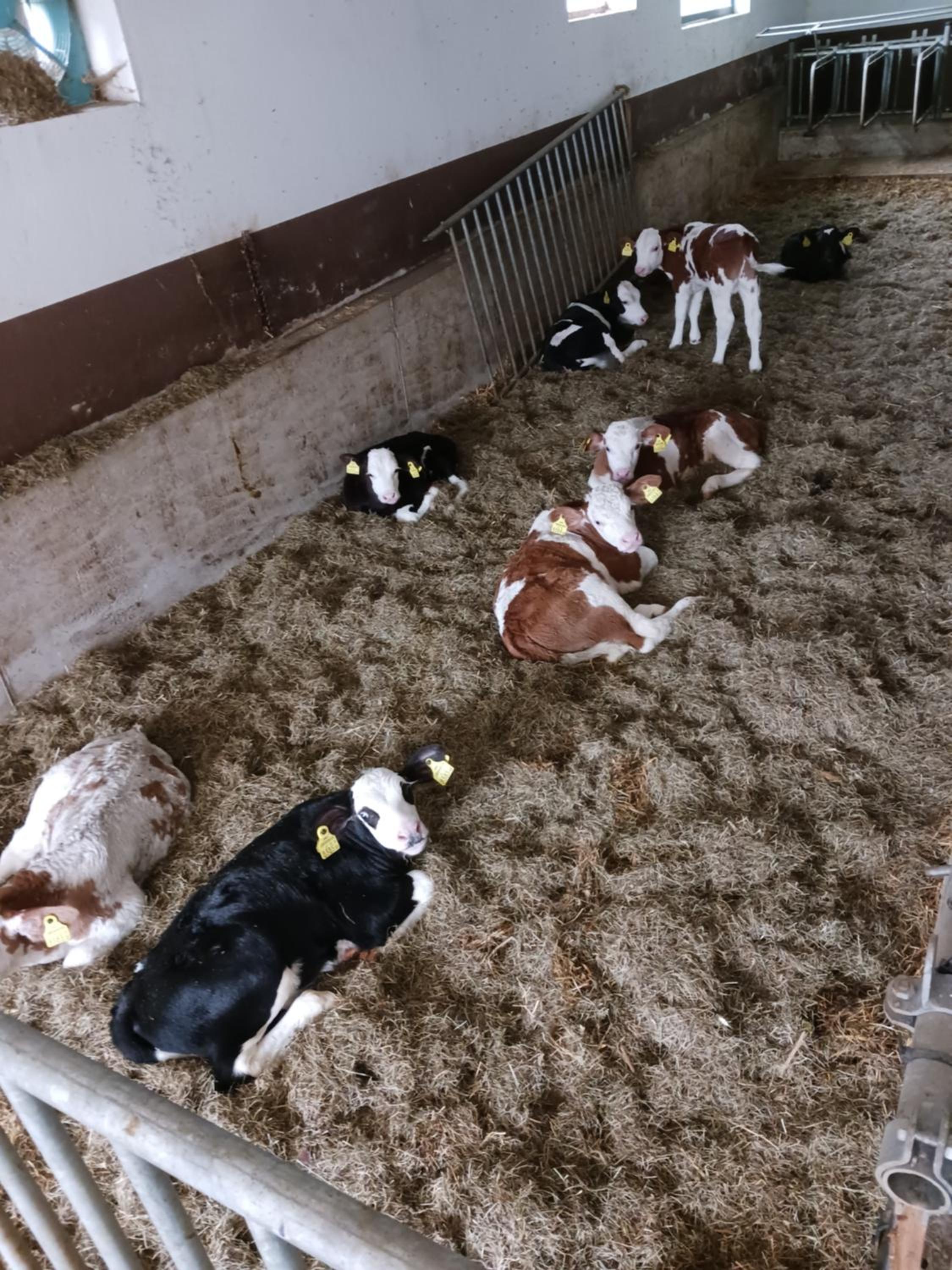 Ferienwohnung Eder