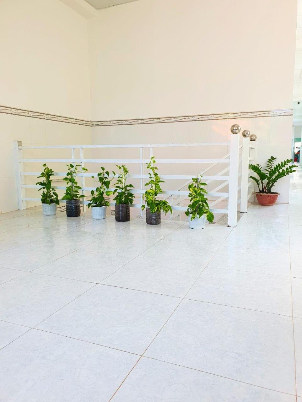 Tai Tri Guest House