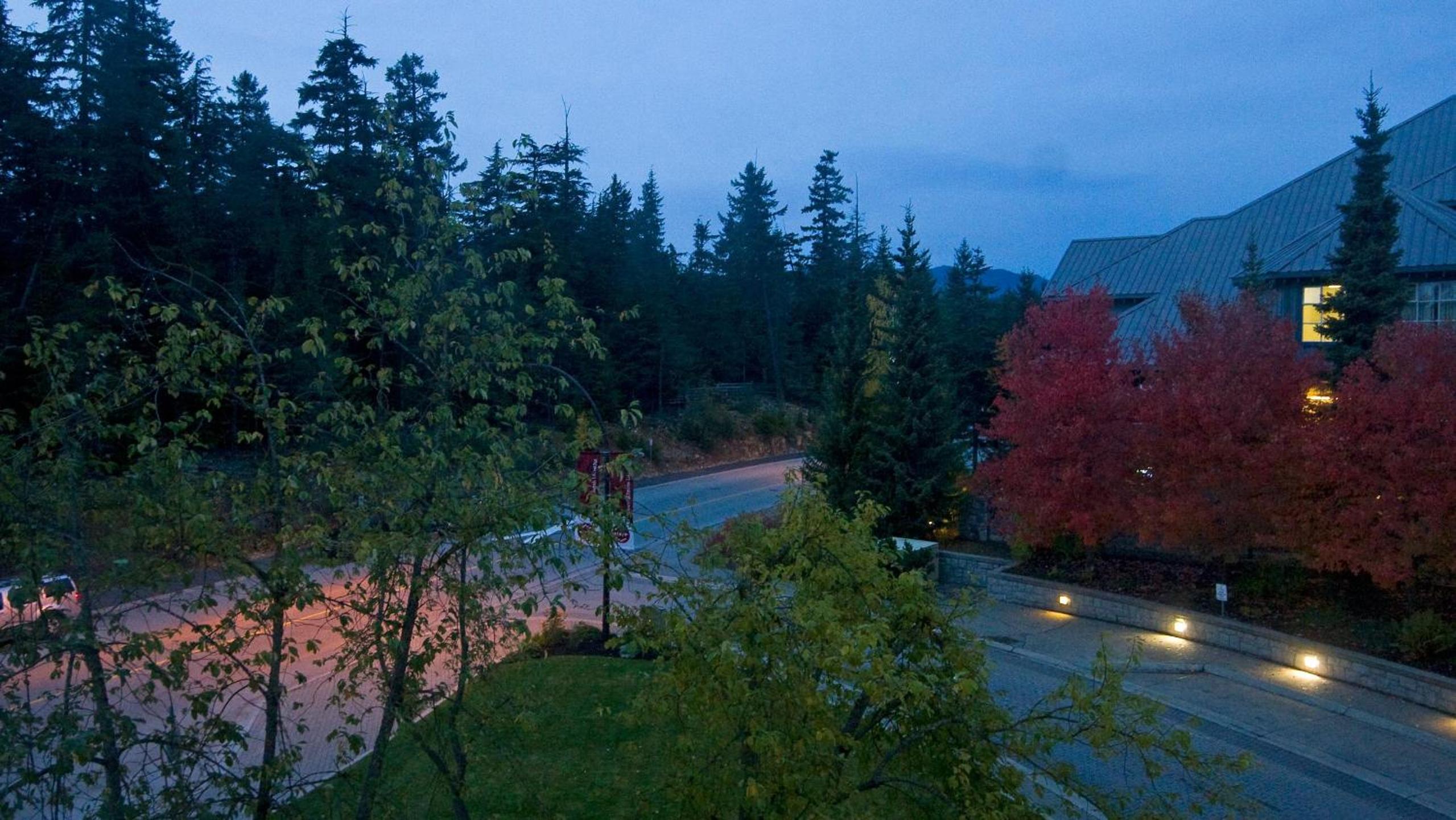Le Chamois 206 | Large Ski-In Ski-Out Condo at Blackcomb Base with Pool, Hot Tub, & Gym