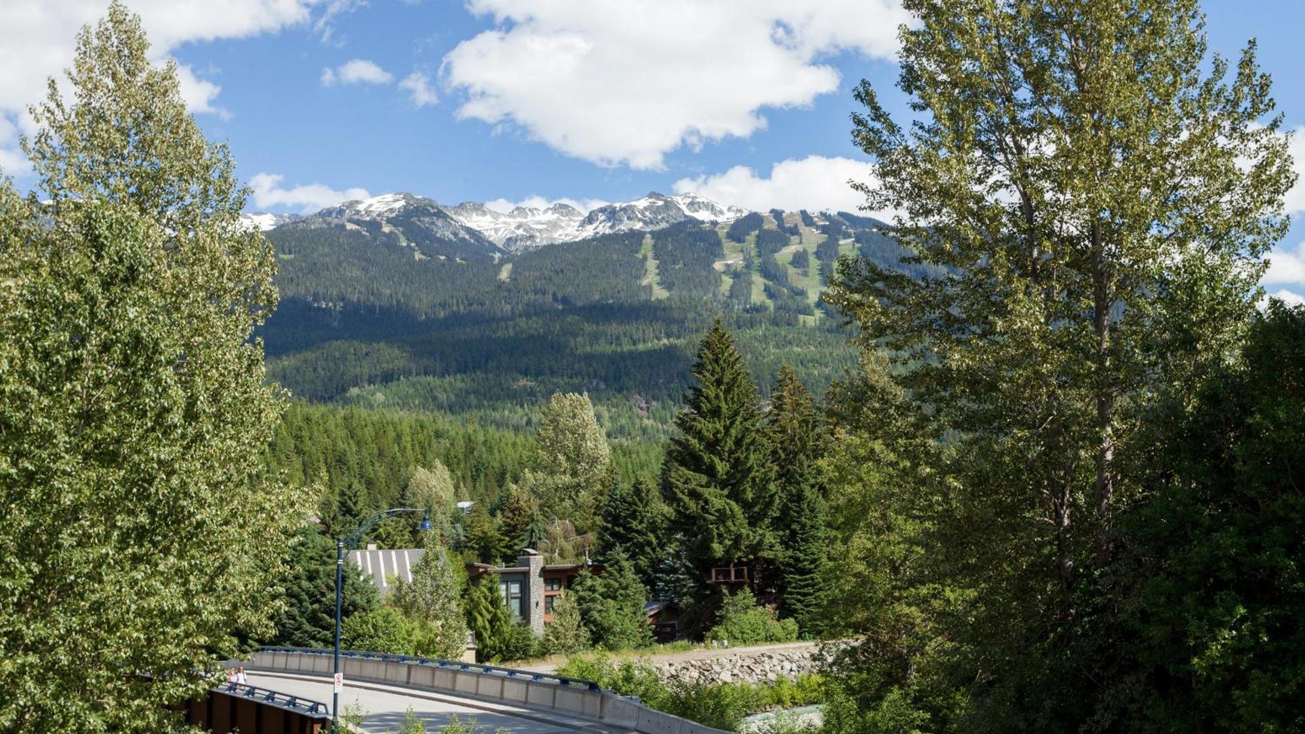 Fitzsimmons Walk 12 | Near Skiing & Village, Hot Tub, Mtn Views, Parking