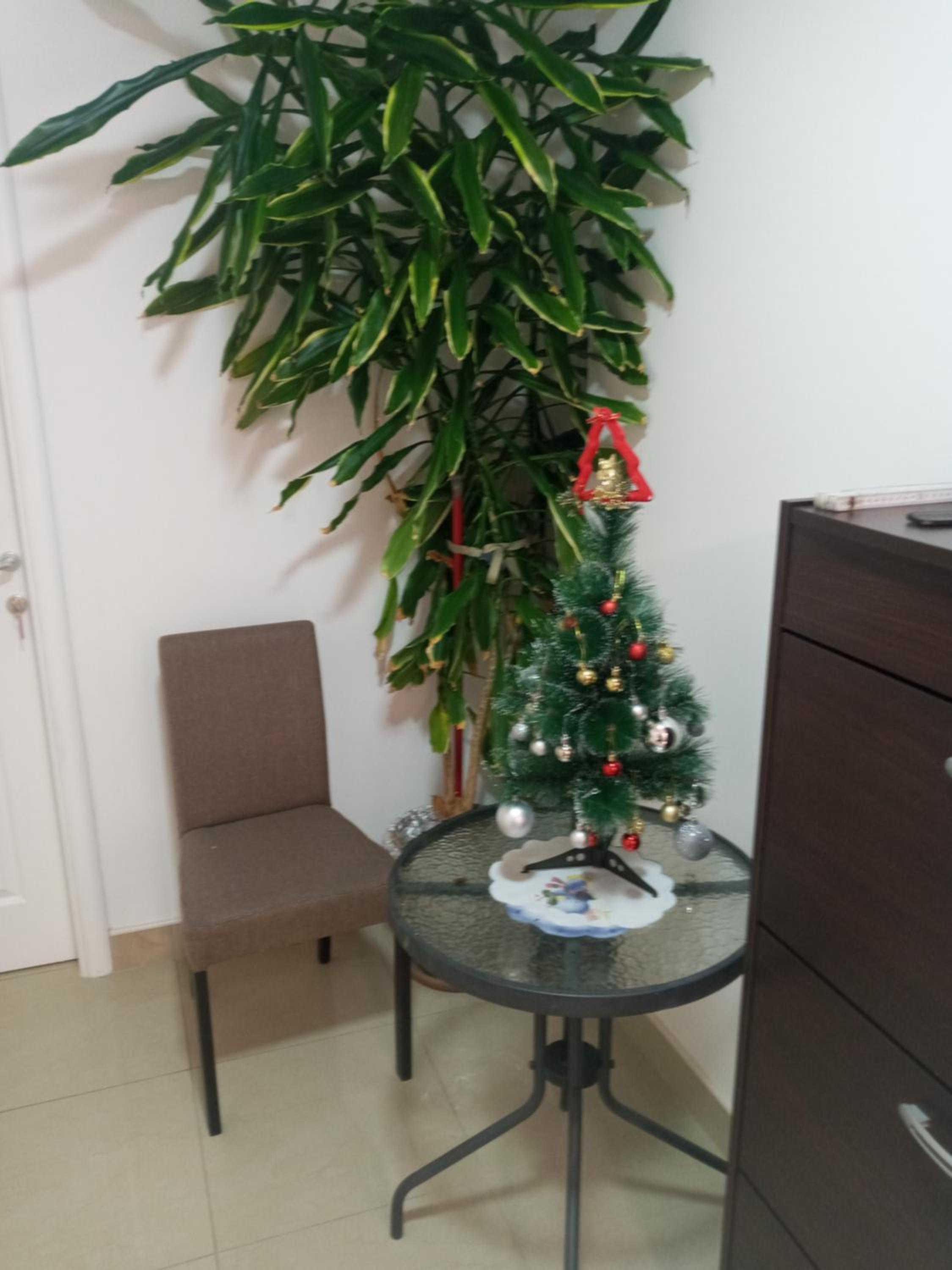 Apartmens LAMA
