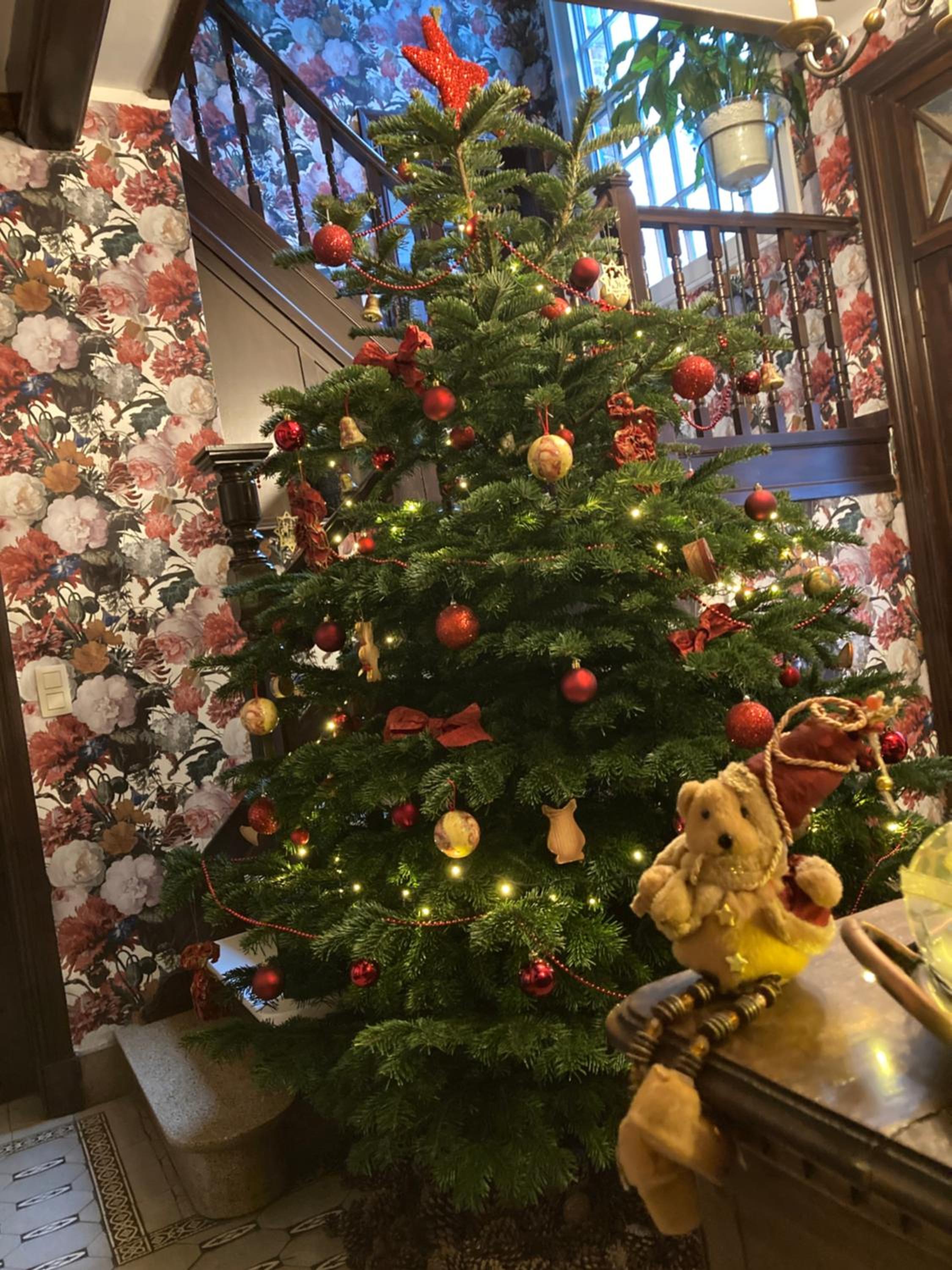 Tree & B