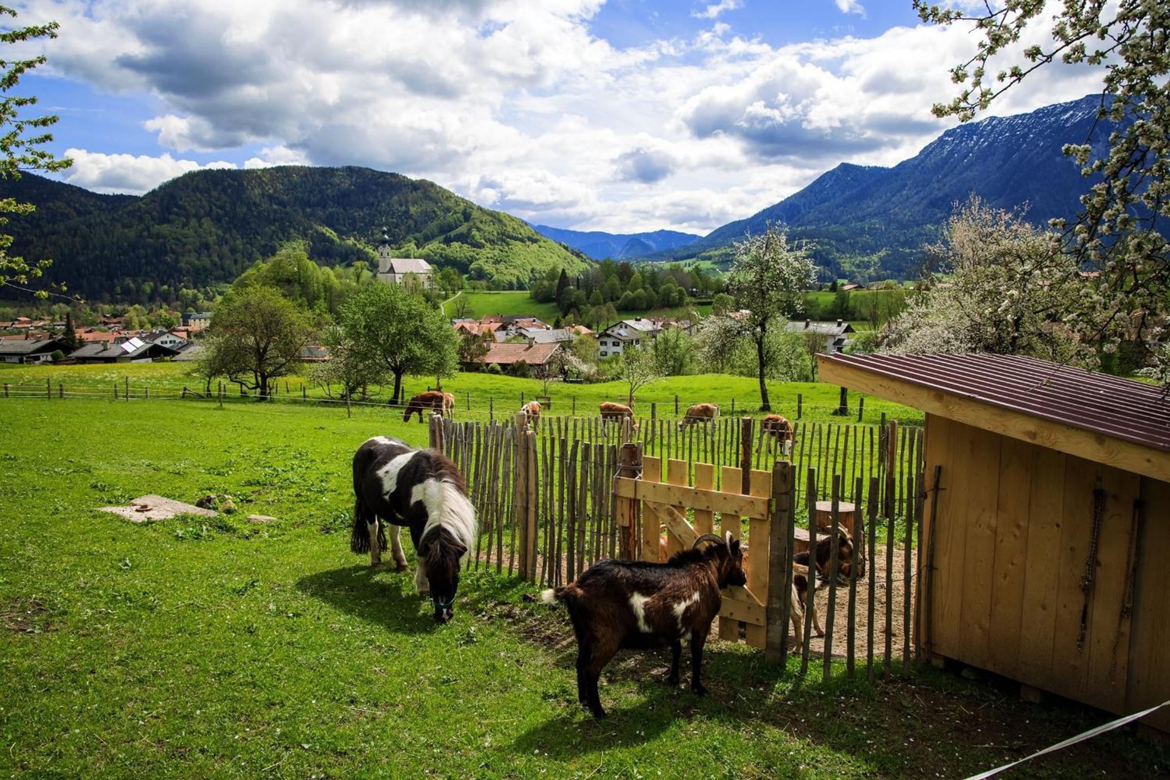 Langerbauer-Hof inkl. Chiemgaukarte view 2
