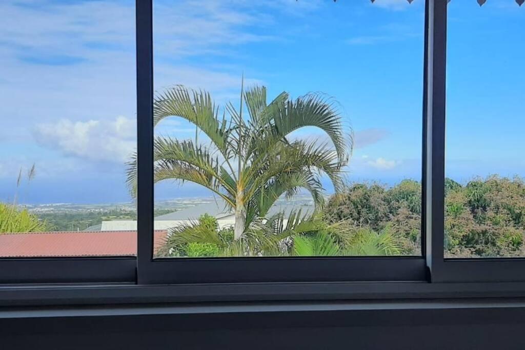 Sweet metykaz view 4