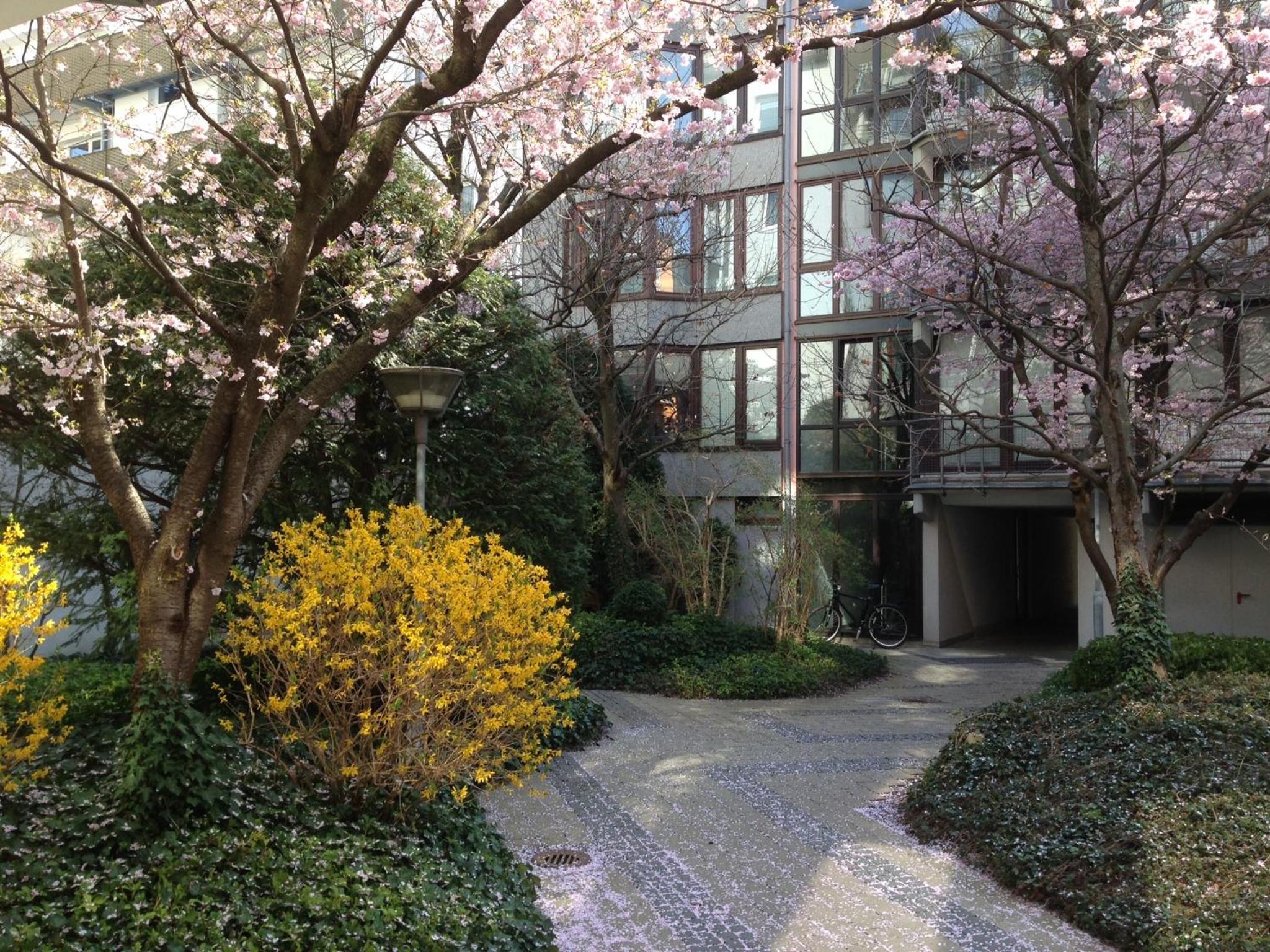 Zentrales EG Apartment im Glockenbachviertel