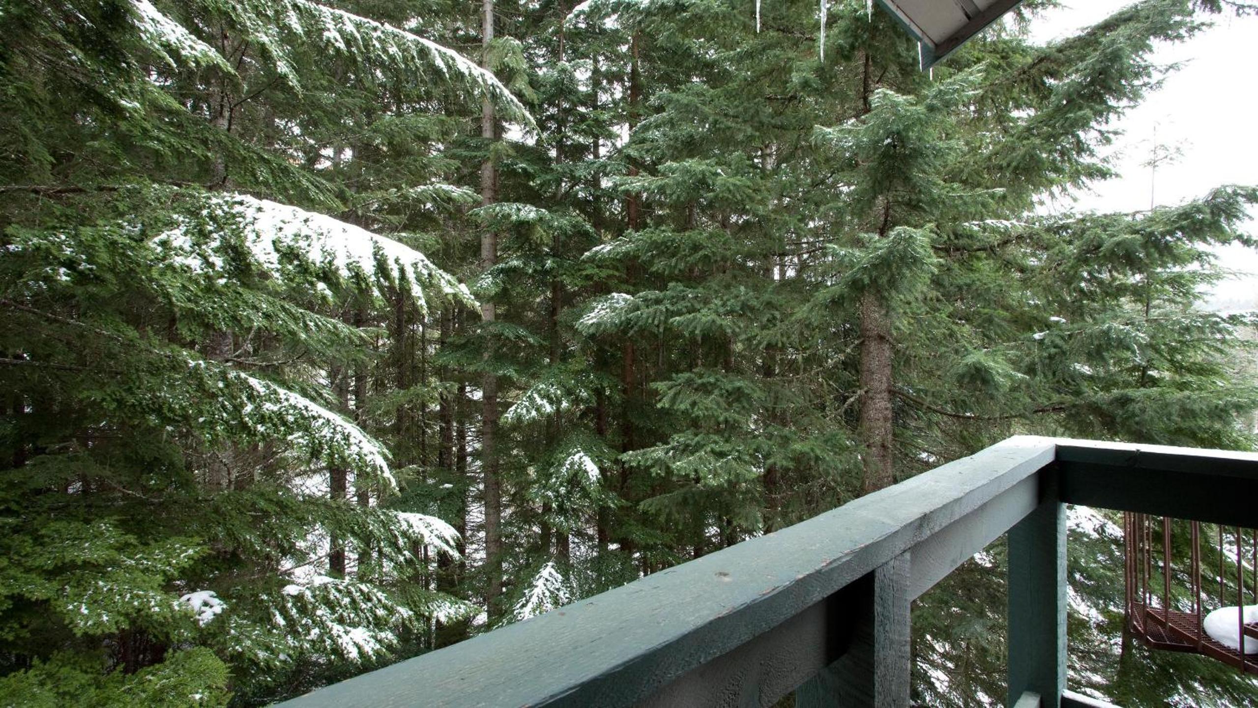 Telemark 14 | Ski-in Townhome! 5 Min Walk to Whistler Village w/ Fireplace & Laundry