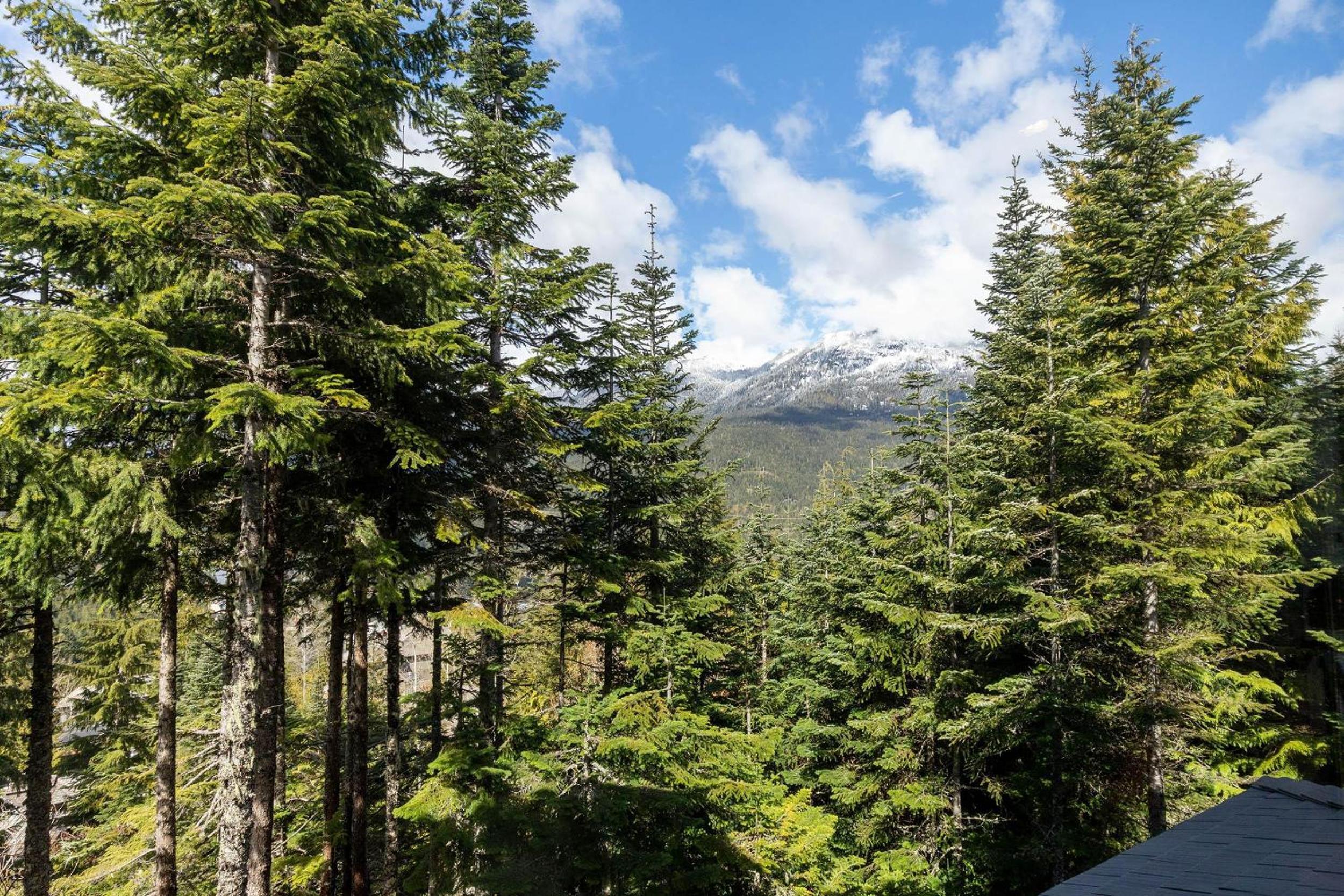 Taluswood The Bluffs 13 | Stunning Mountain View Townhome w/ Ski Access & Shared Hot Tub