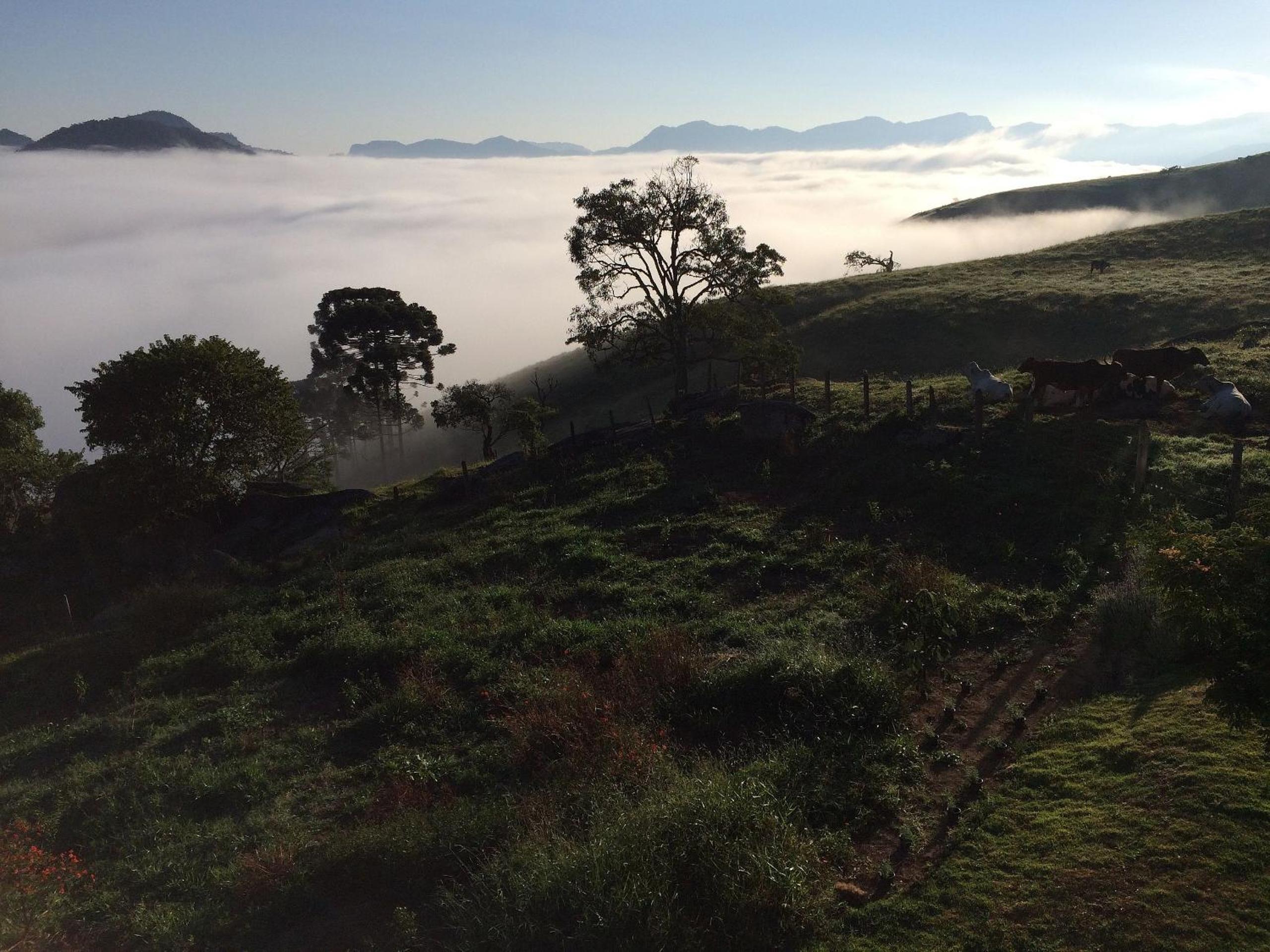Reconecte-se à natureza neste lugar inesquecível. Venha desfrutar esta vivencia. Um parque de 30.000 m2 com cachoeiras, piscinas naturais, lago com deck. V