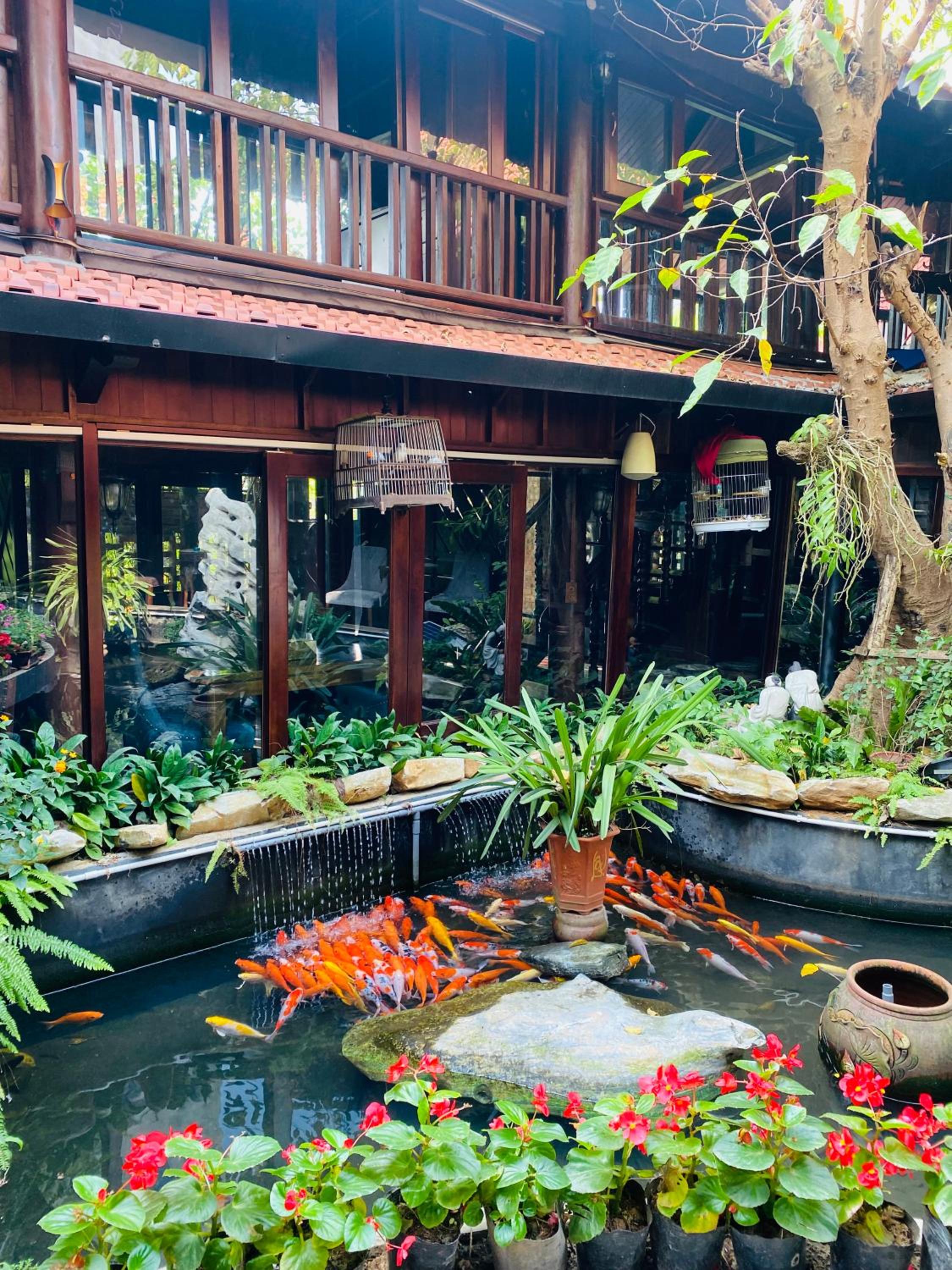 Homestay Sunny