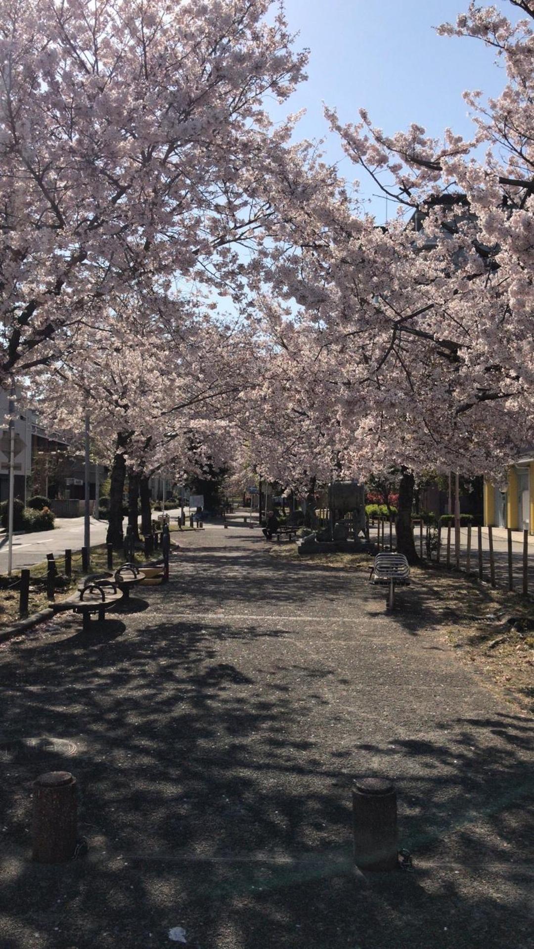 Free Parking Namba south Villa 4 rooms 120m2