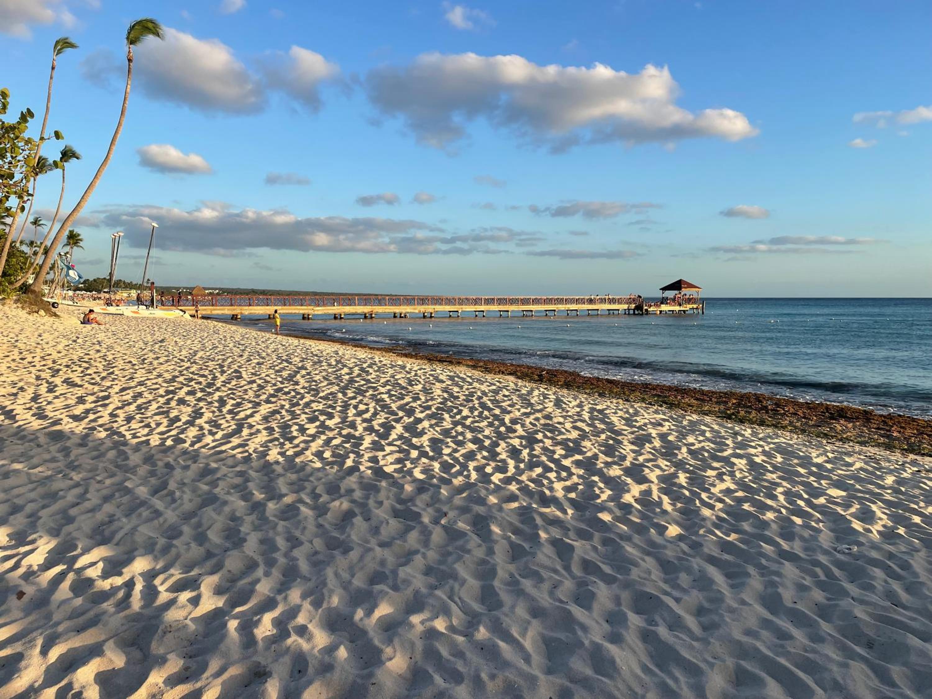 Dominicus Castillo Paradise