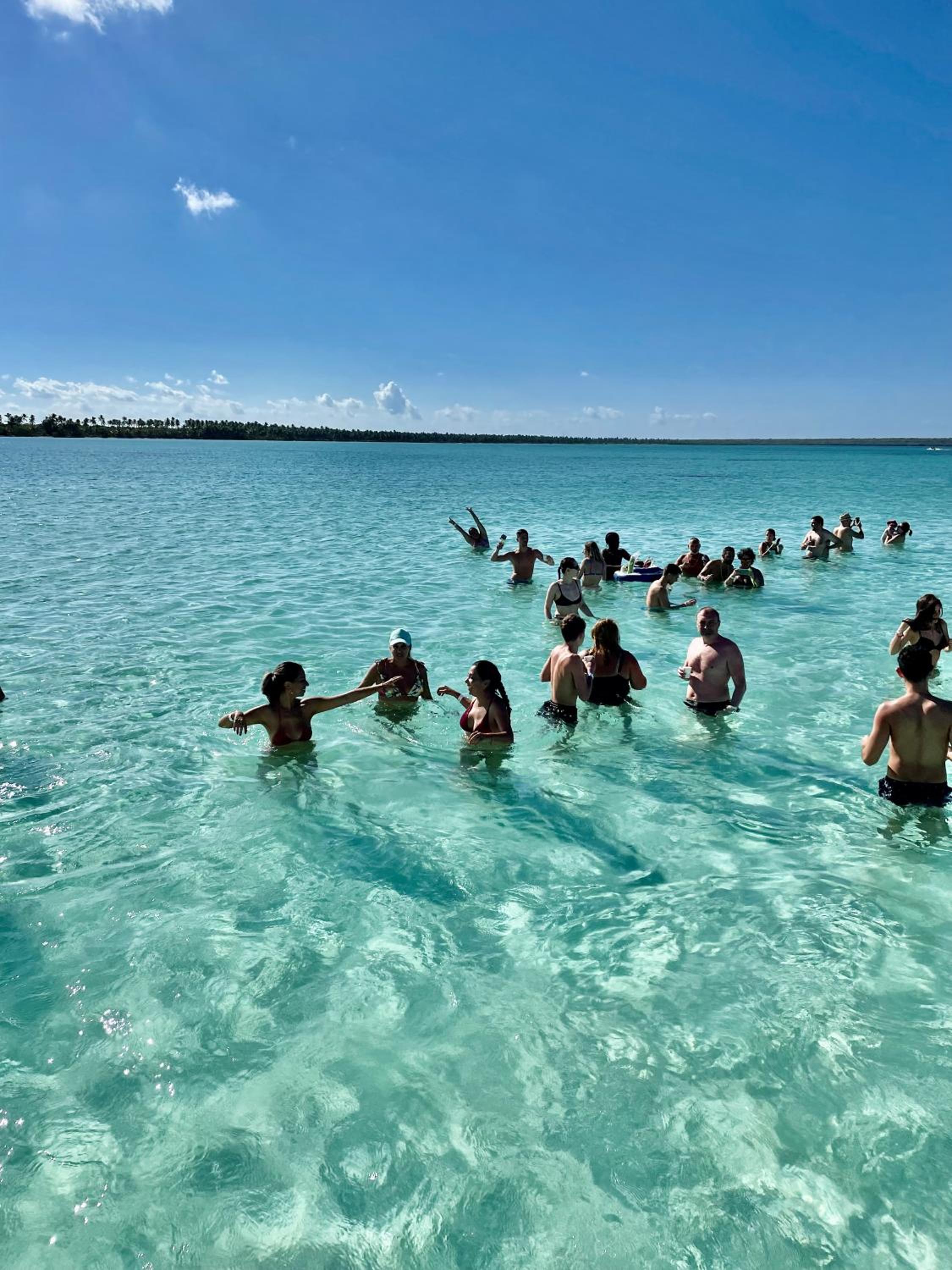 Dominicus Castillo Paradise