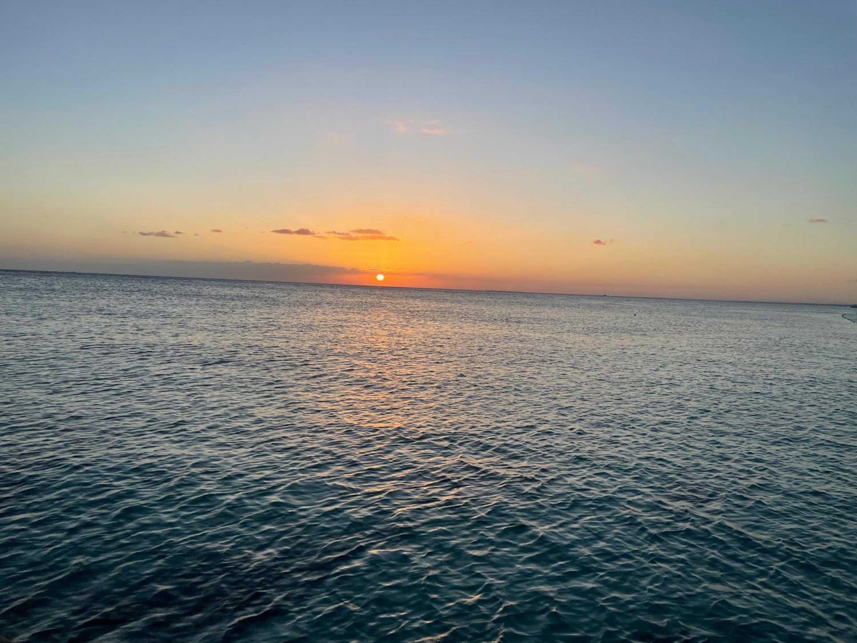 Dominicus Castillo Paradise