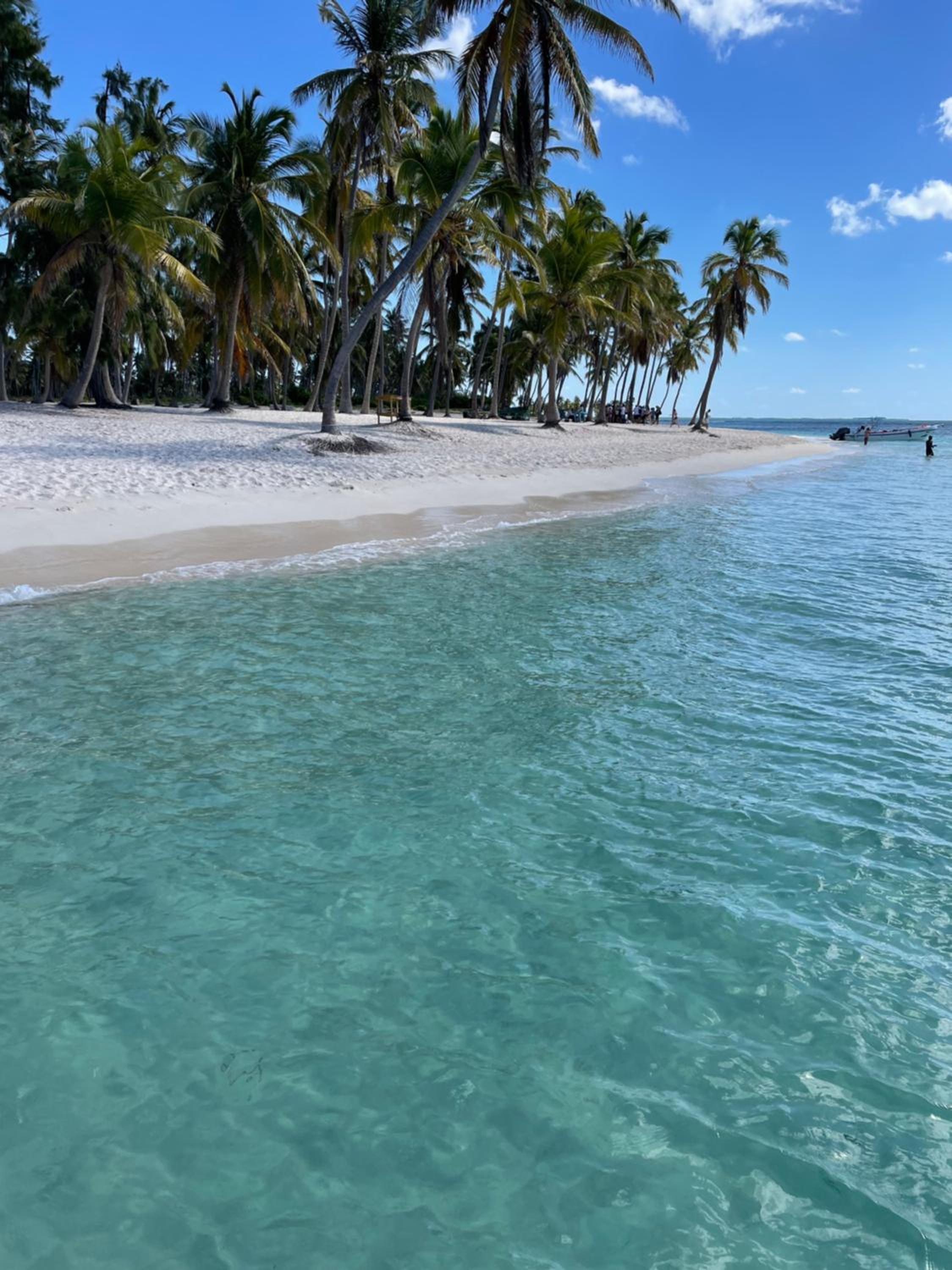 Dominicus Castillo Paradise