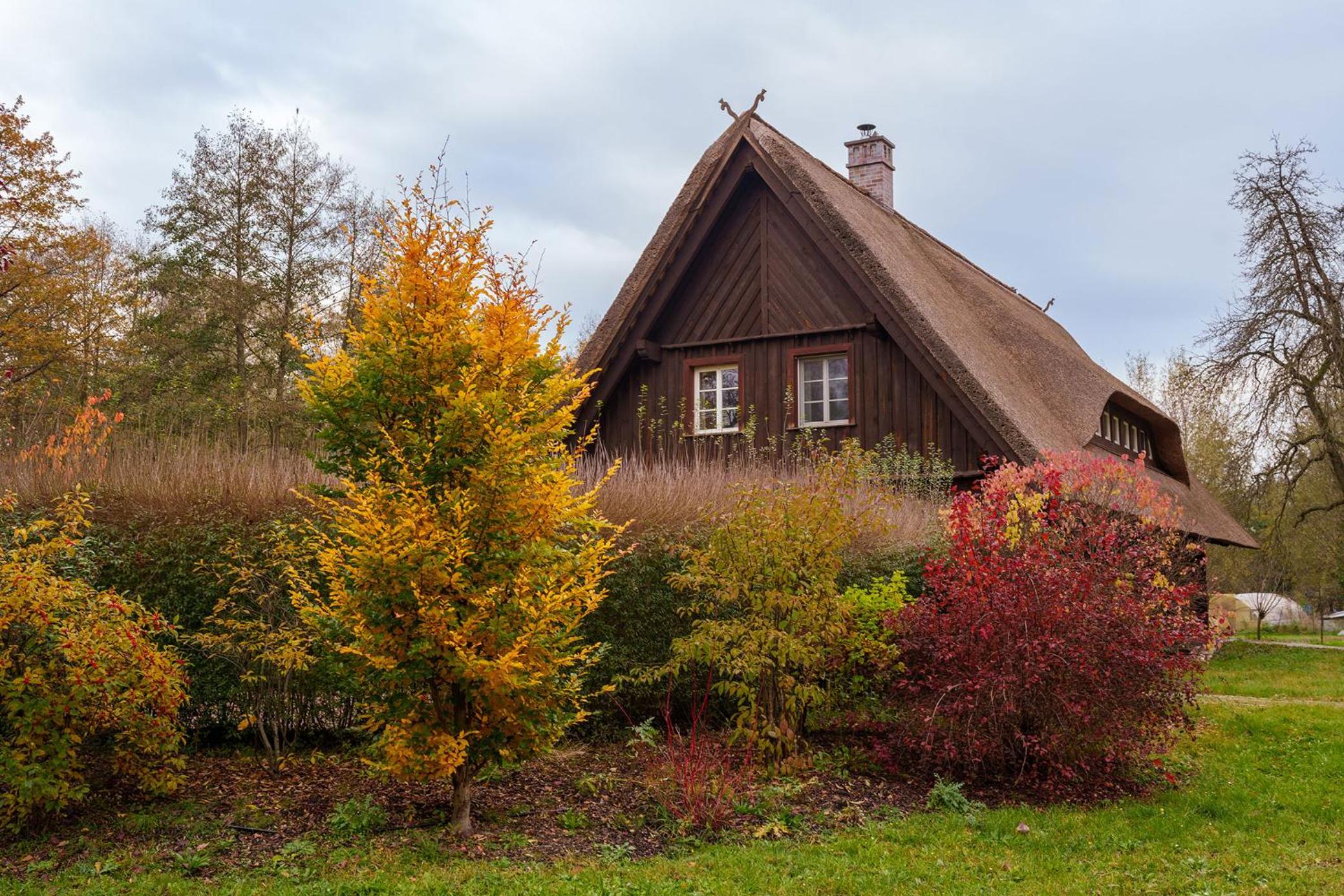 Exklusives Holzhaus view 3