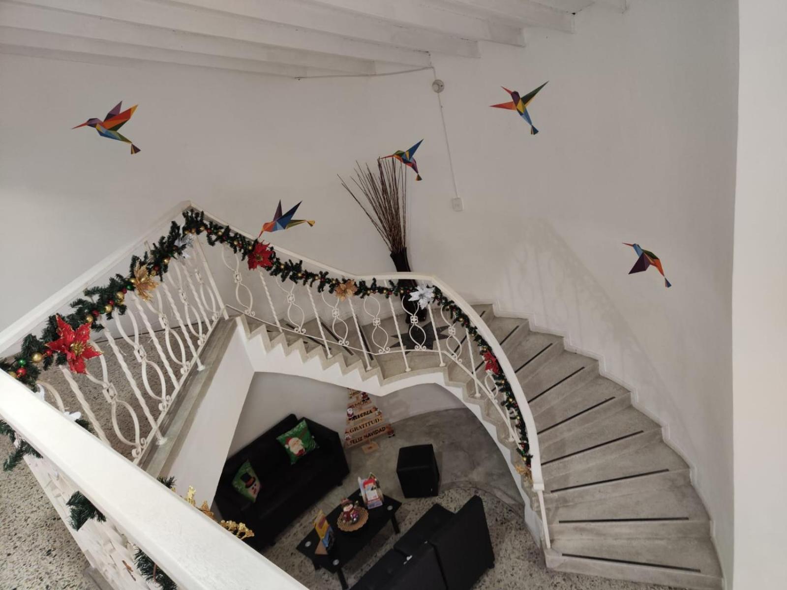 Absolute Hotel & Hostel Boutique