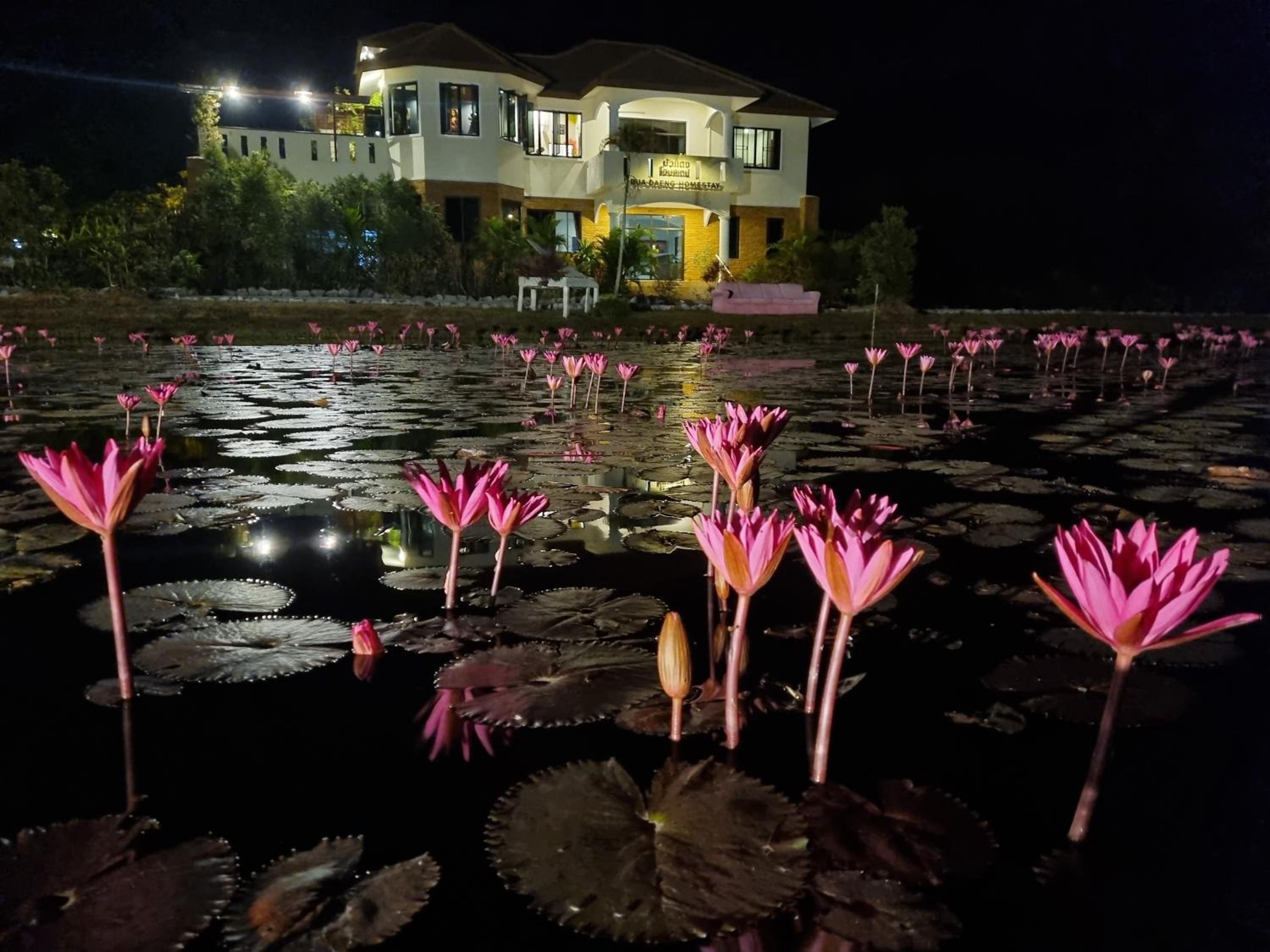 Bua Daeng Resort view 3