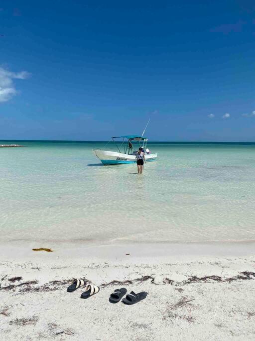 Casa Libelula Beachfront House
