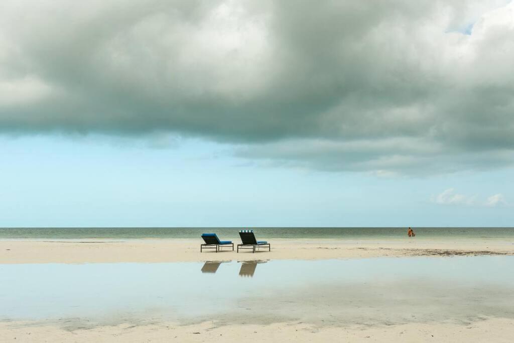 Casa Libelula Beachfront House