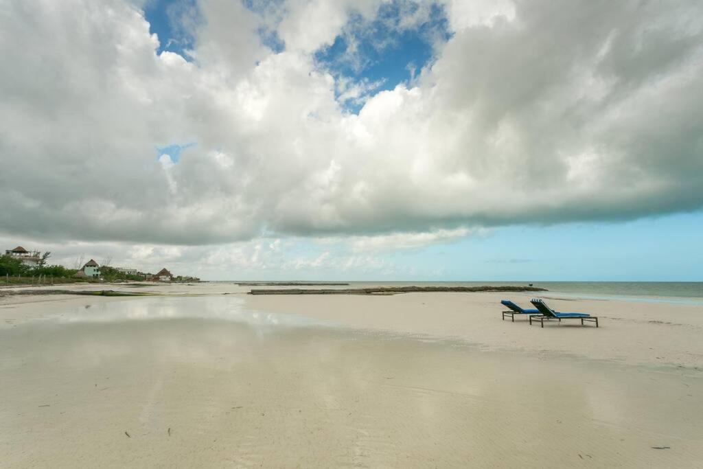 Casa Libelula Beachfront House
