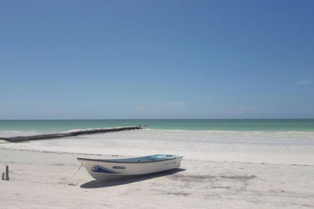 Casa Libelula Beachfront House
