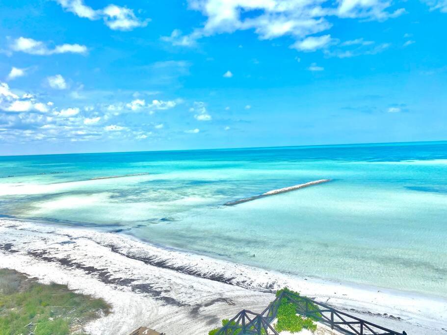 Casa Libelula Beachfront House