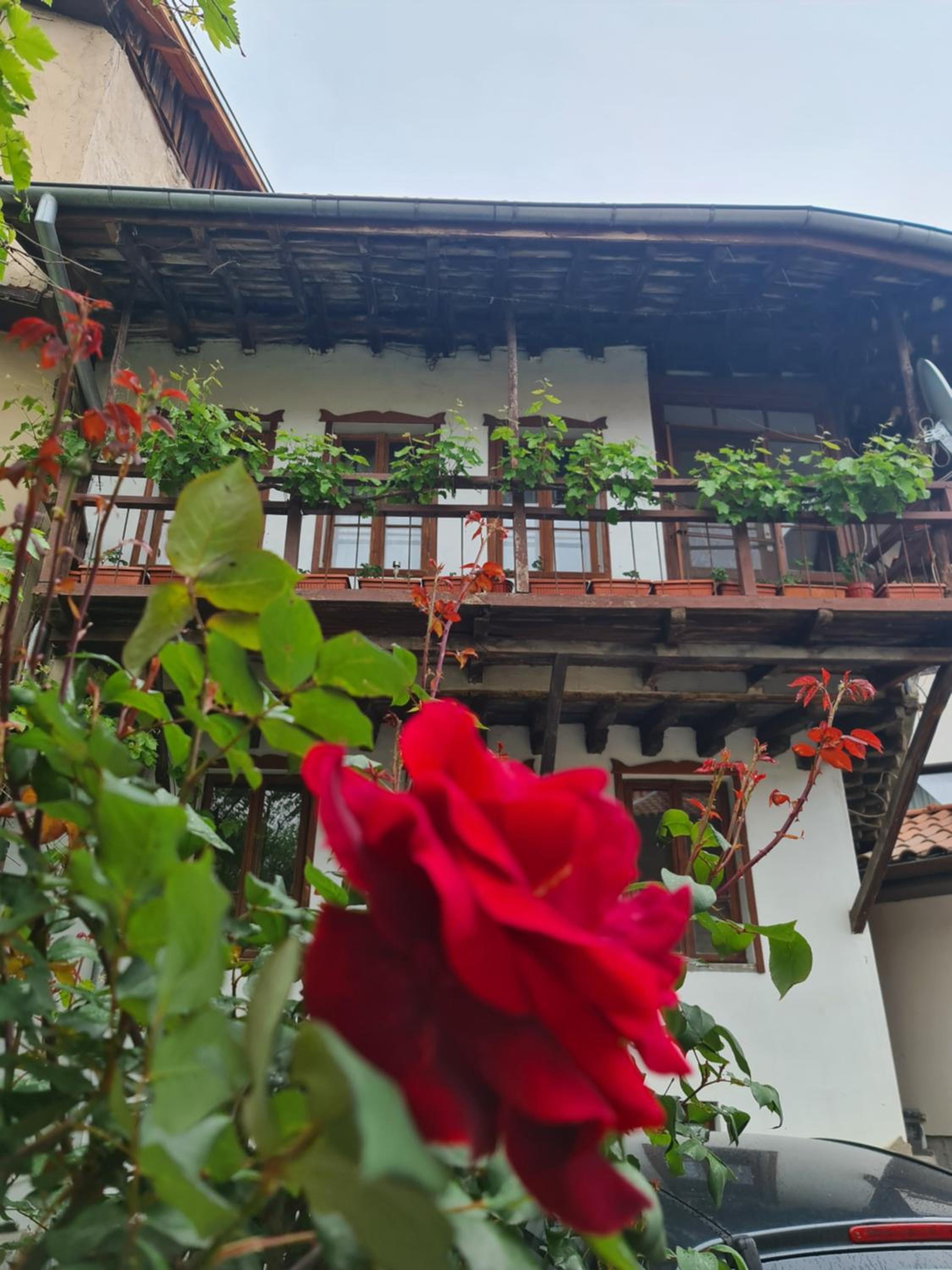 Guest House GURKO 7, 2BR, Top Center, Free Parking