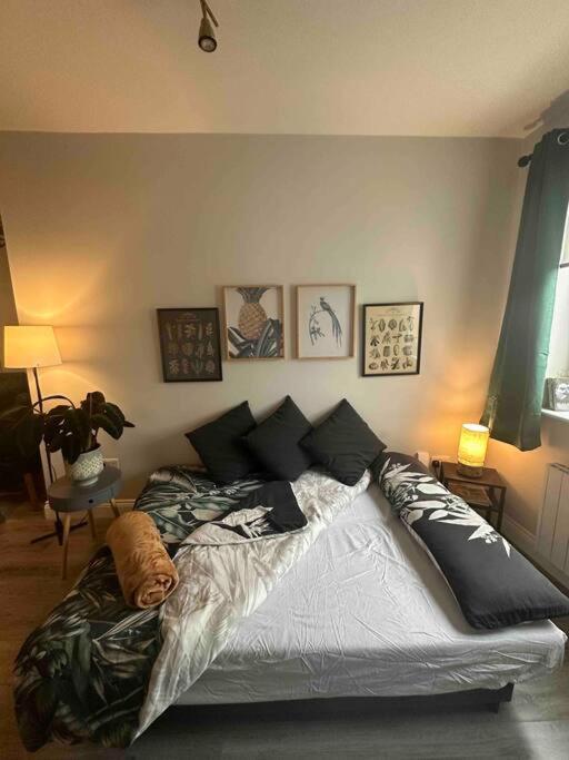 Central 1 bedroom apartment