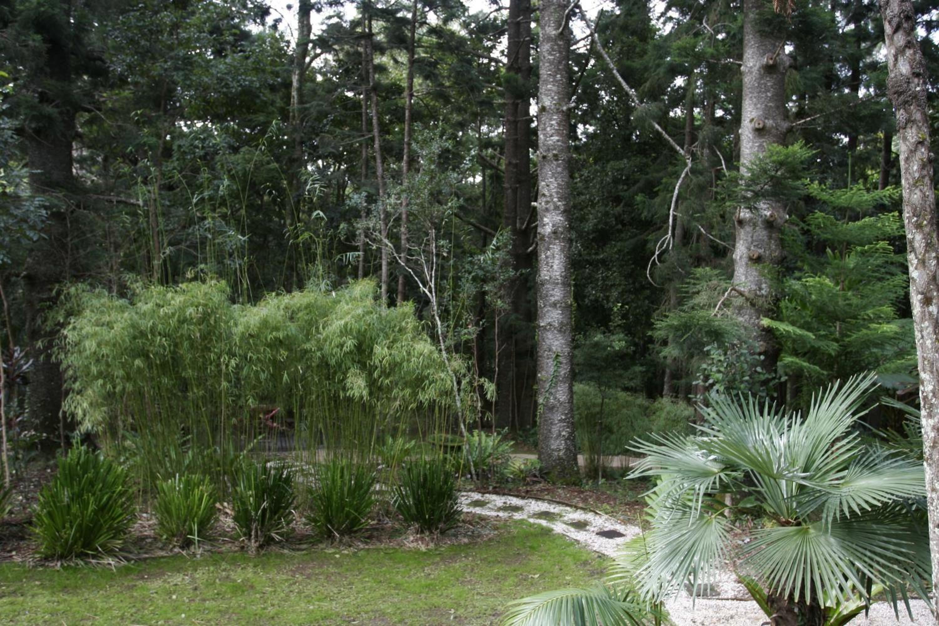 Azabu Retreat